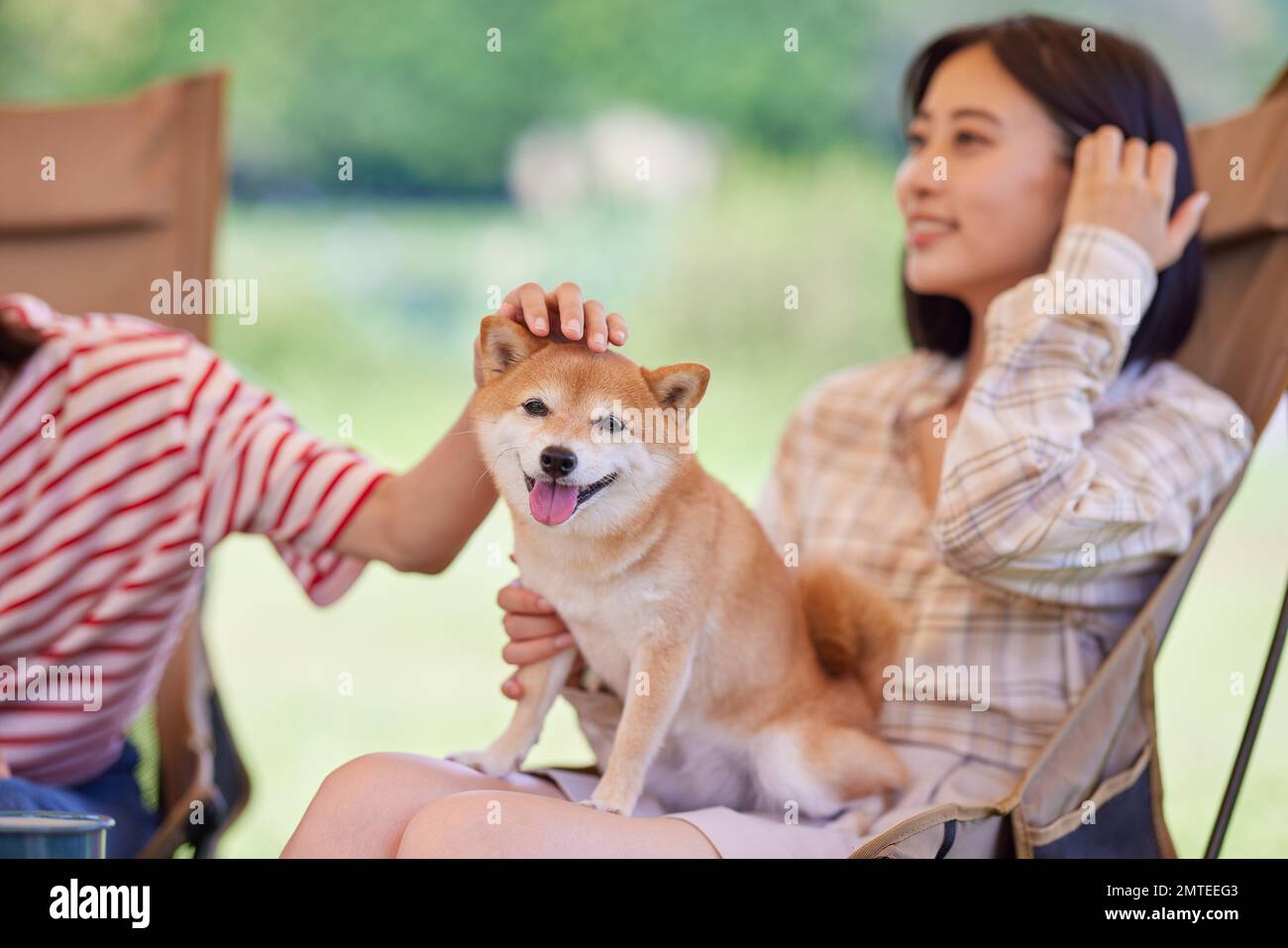 Junge japanische Frauen mit Hund auf dem Campingplatz Stockfoto