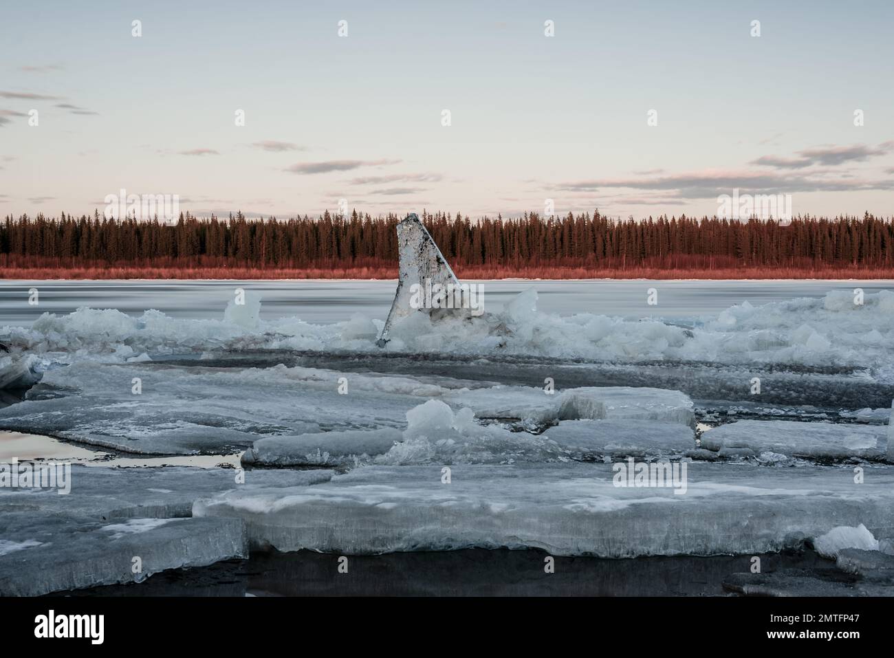 Die letzten Eisschollen schmelzen in der Nähe der Küste der Taiga. Eisfluß auf dem Quellfluß in Yakutia Vilyui bei Sonnenuntergang am Abend Stockfoto