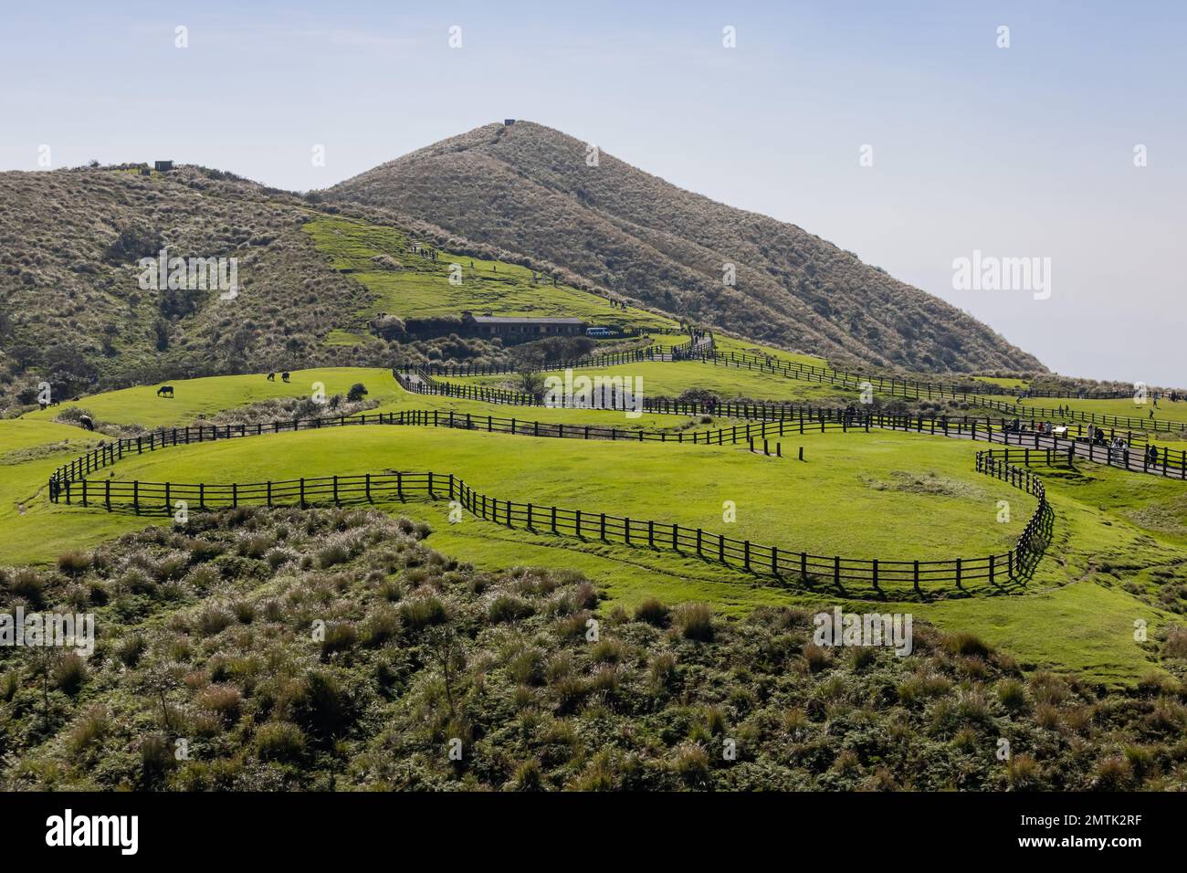 Sonniger Blick auf das Qingtiangang Grassland in Taipei, Taiwan Stockfoto