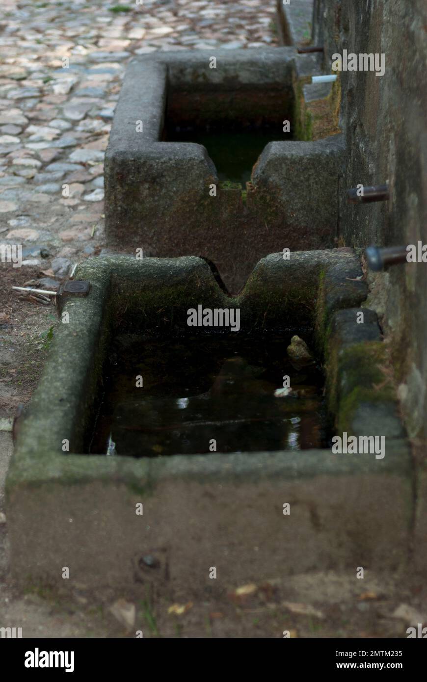 Steinbrunnen mit Moos und wenig Wasser aufgrund von Dürre im Sommer, vertikal Stockfoto