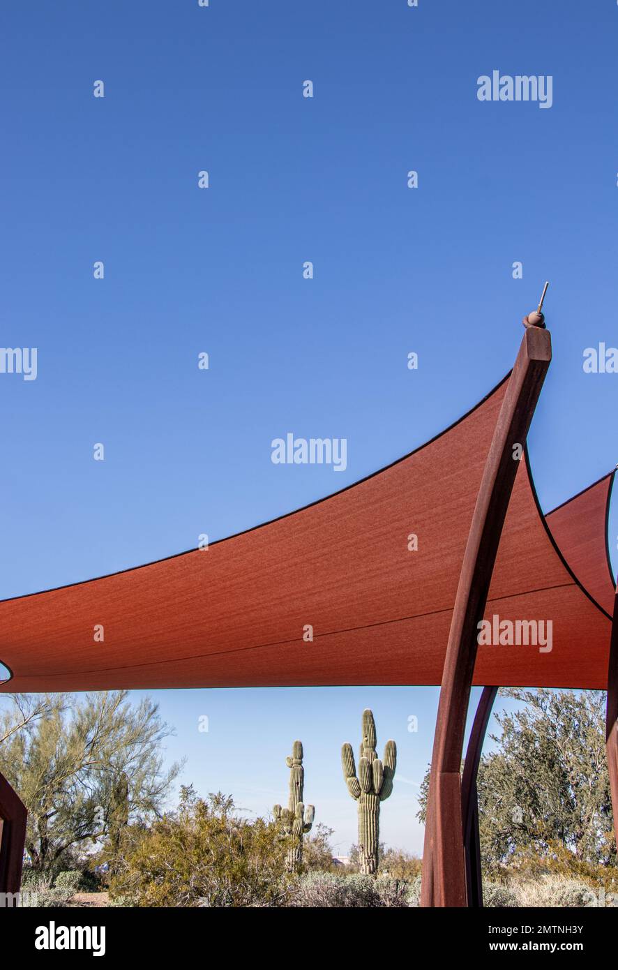 Nahaufnahme eines Sonnenschirms in der Wüste mit Kaktus im Hintergrund Stockfoto