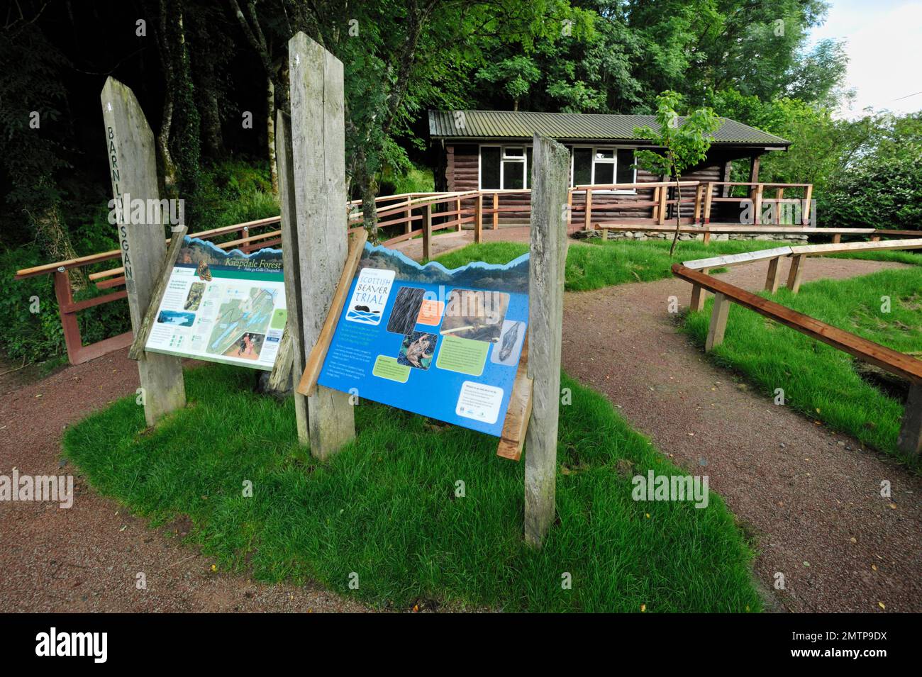 European Beaver (Castor Fiber) Reintroduction project Visitor Centre in Barnluasgan, Knapdale, Argyll, Schottland, Juli 2009 Stockfoto