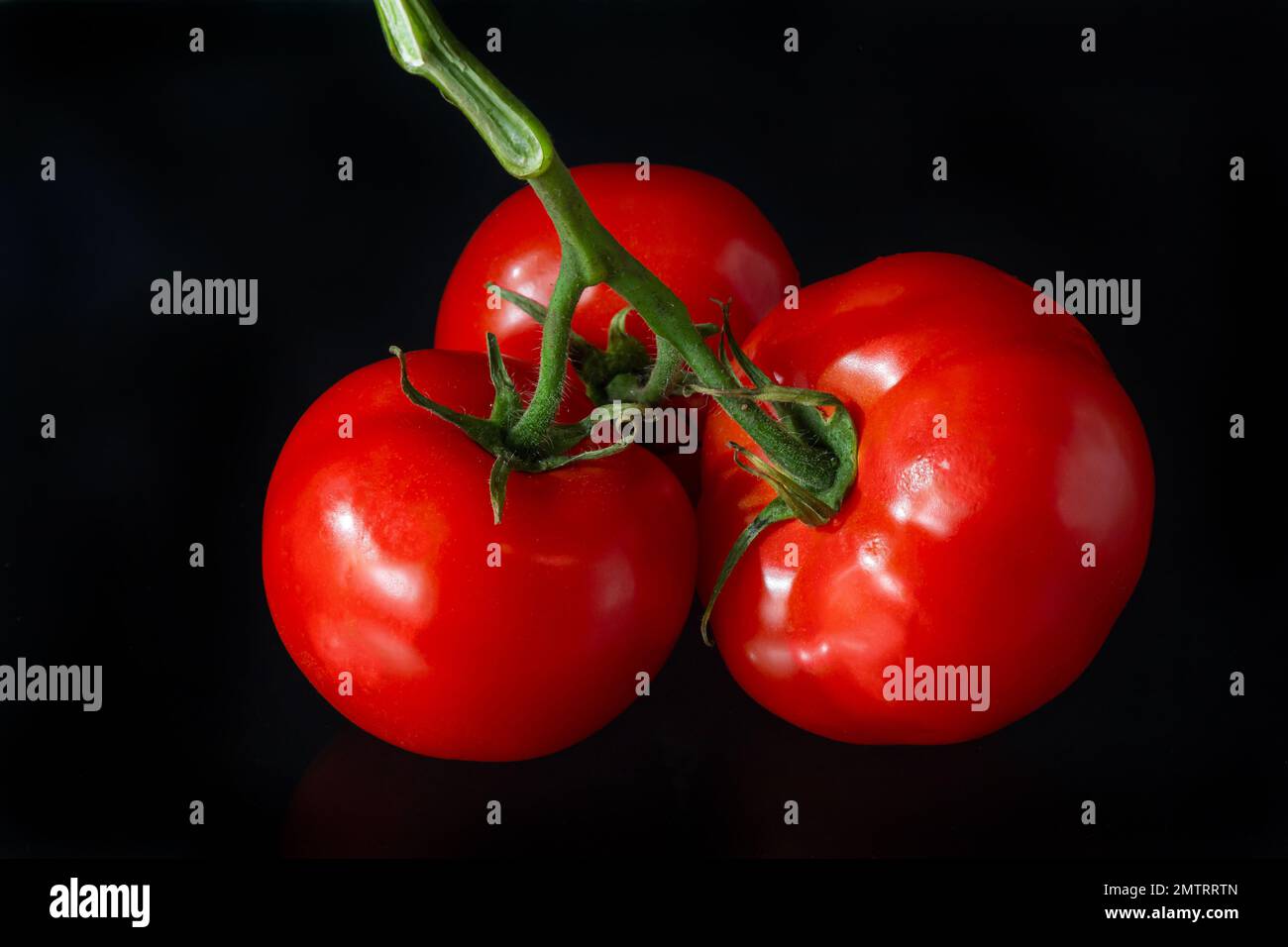 Rote reife Tomaten mit leuchtenden Wassertropfen. Frische appetitanregende natürliche Antioxidantien in leckeren Tomaten. Ein Haufen Tomaten, isoliert auf schwarzem Rücken Stockfoto