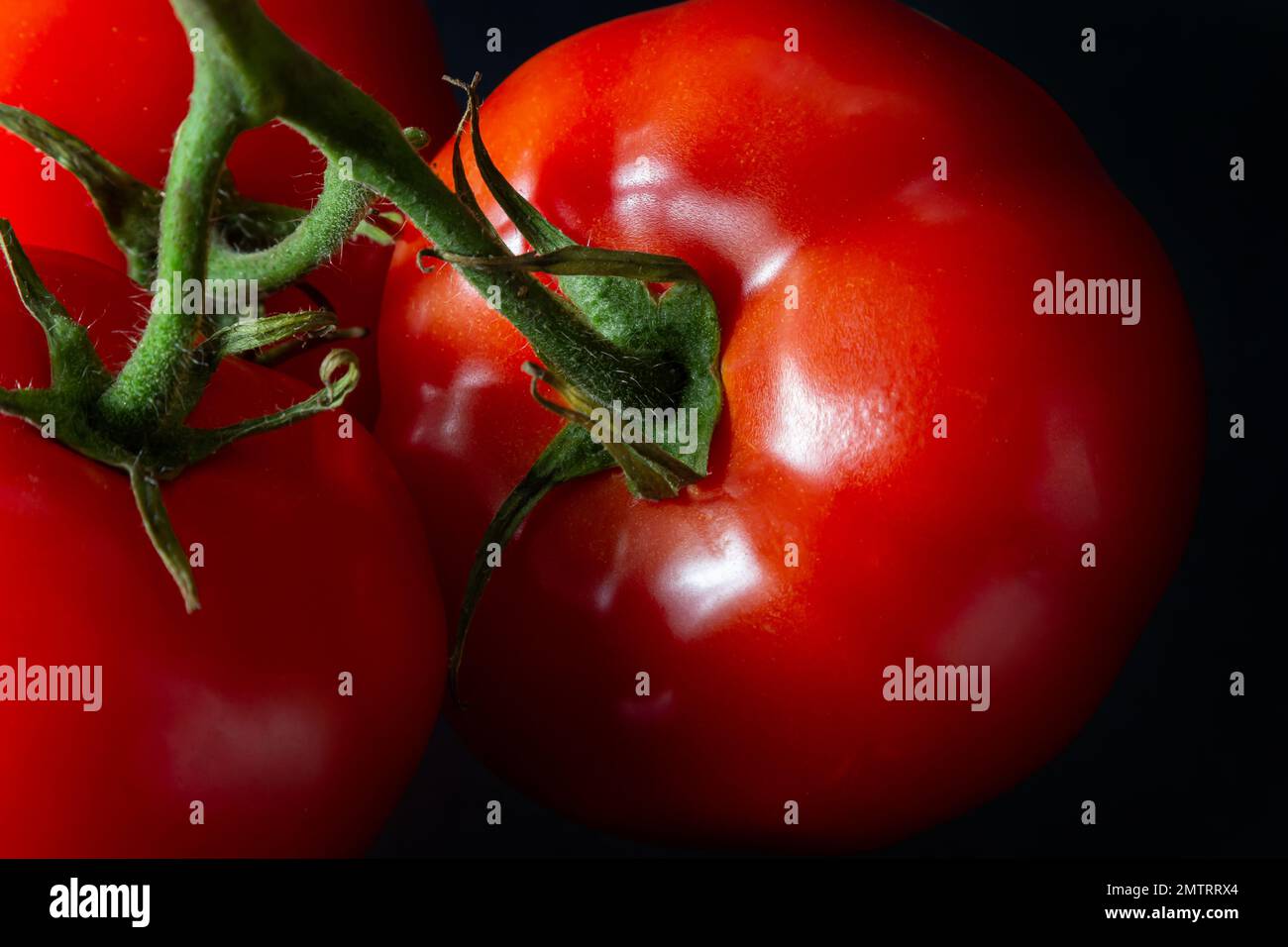 Rote reife Tomaten mit leuchtenden Wassertropfen. Frische appetitanregende natürliche Antioxidantien in leckeren Tomaten. Ein Haufen Tomaten, isoliert auf schwarzem Rücken Stockfoto