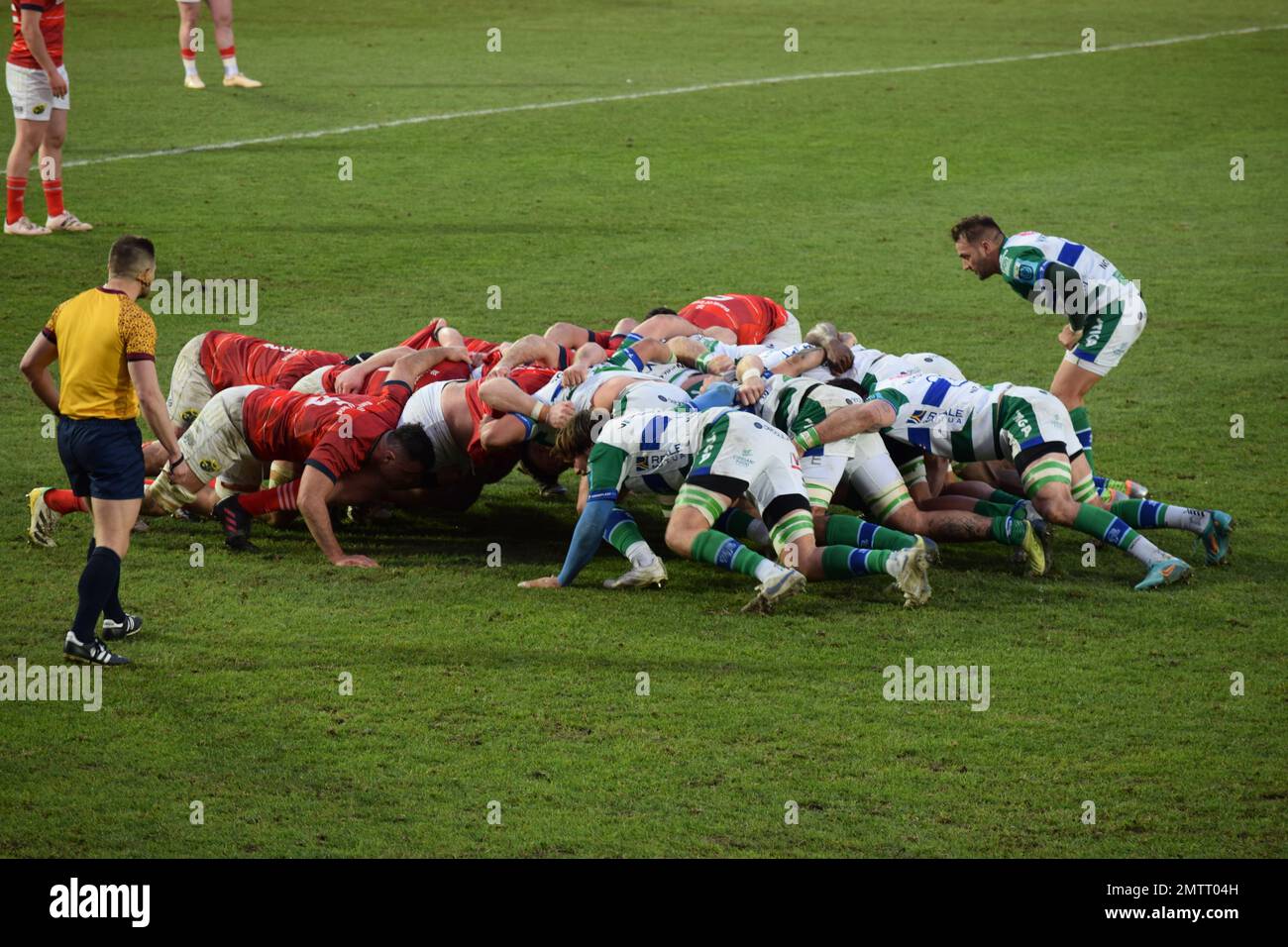 Munster scrum während ihres Spiels gegen Benetton Rugby in Treviso im Januar 2023 in der URC Stockfoto