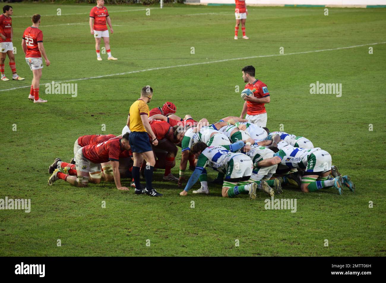 Munster scrum während ihres Spiels gegen Benetton Rugby in Treviso im Januar 2023 in der URC Stockfoto