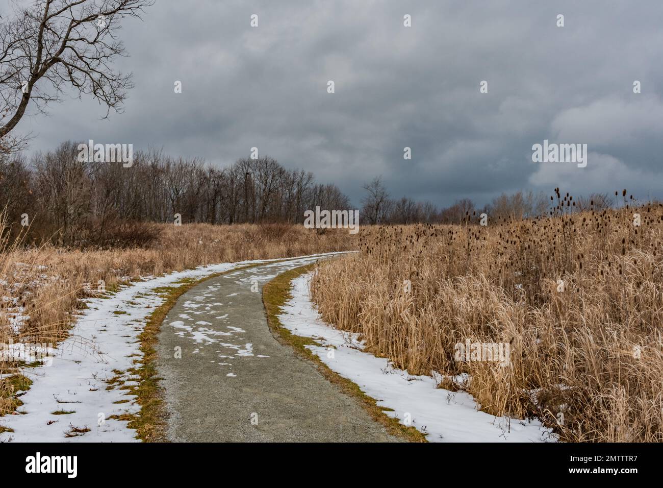 Zurück zum Besucherzentrum von Flug 93 an einem Winternachmittag, Pennsylvania USA, Stoystown, Pennsylvania Stockfoto