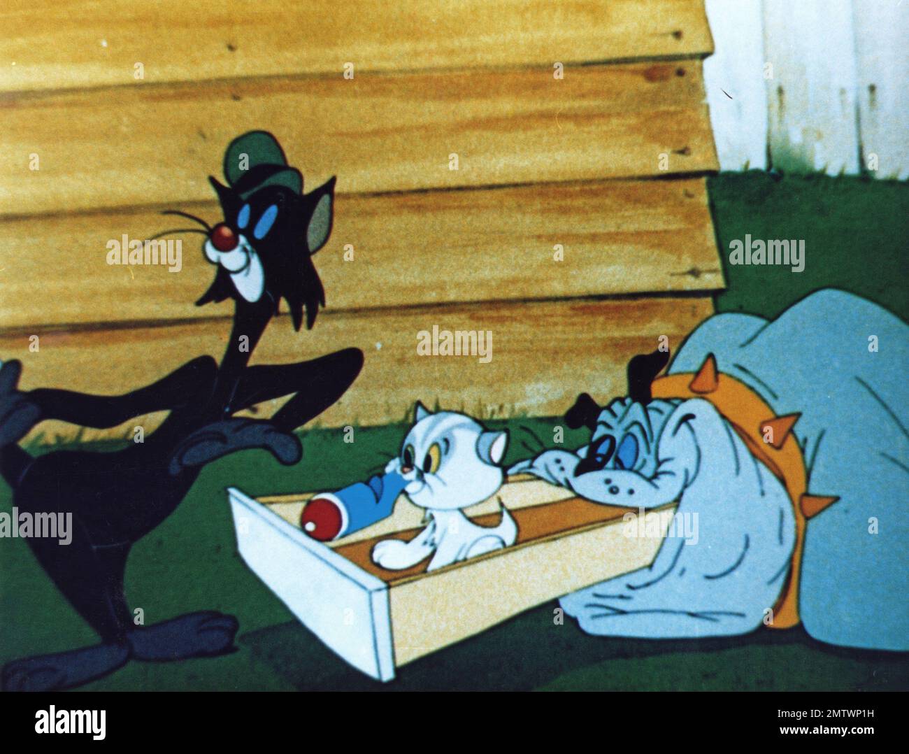 Pech Blackie Jahr 1949 USA Regisseur: Tex Avery Animation Stockfoto