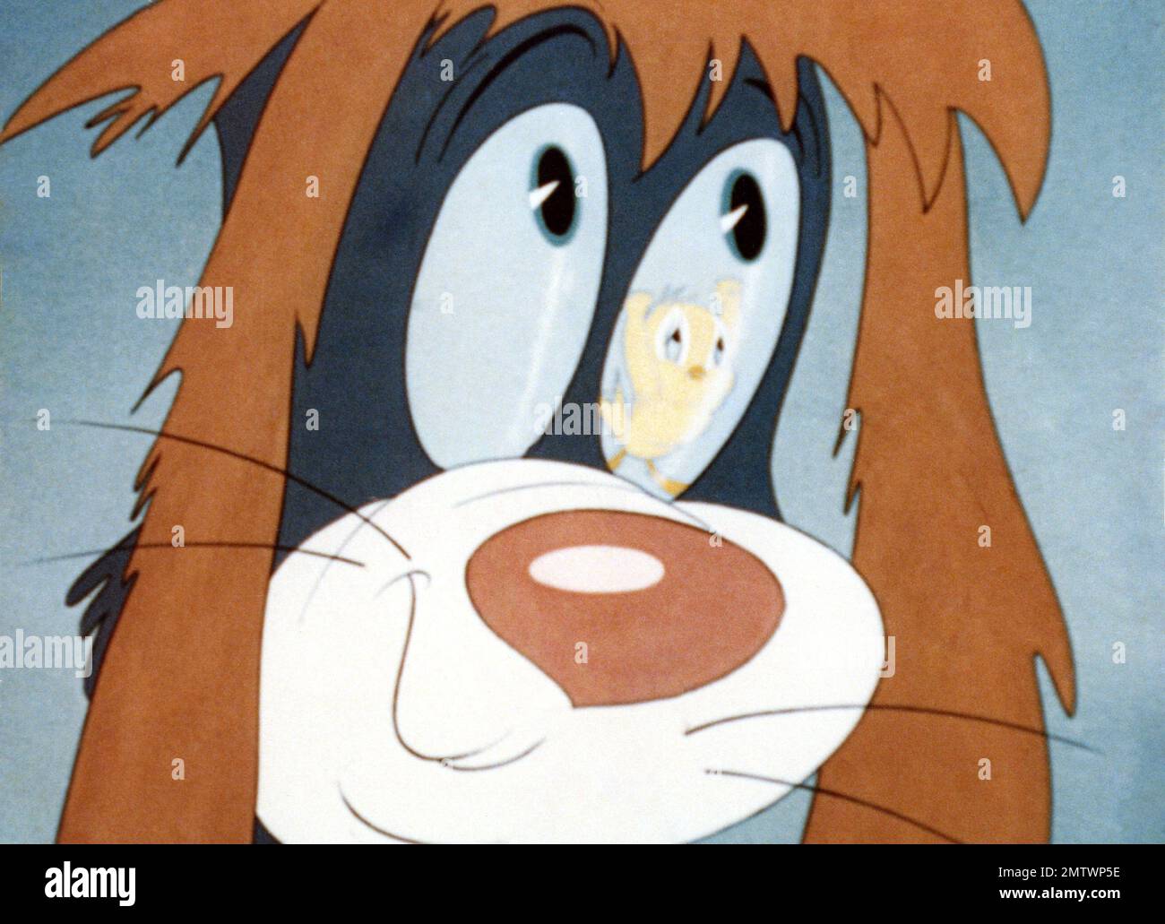 The Counterfeit Cat Year: 1949 USA Director: Tex Avery Animation Stockfoto