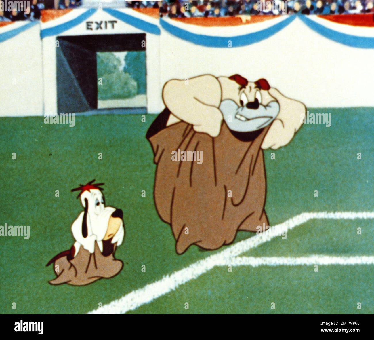 Das Chump-Champion-Jahr 1950, USA Regisseur: Tex Avery Animation Stockfoto