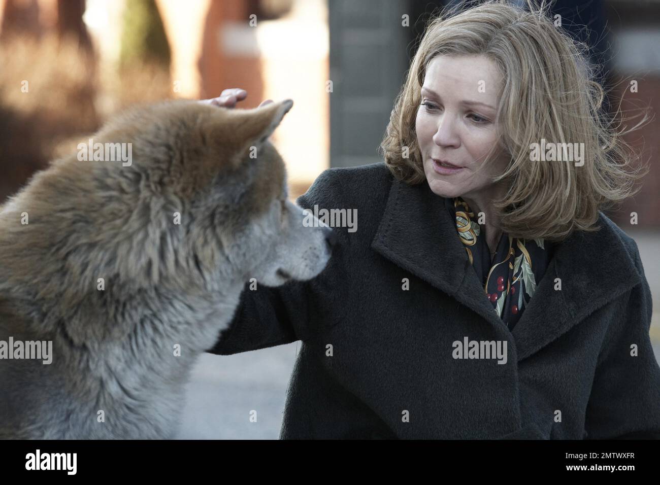 Hachi: A Dog's Story Year : 2009 USA Regisseur : Lasse Hallström Joan Allen Stockfoto