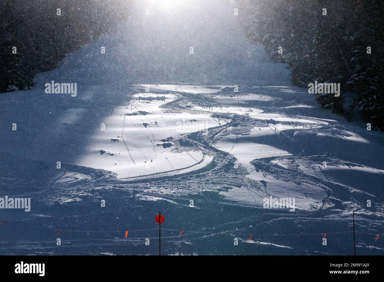 Pulverschnee mit Hintergrundbeleuchtung; Ski- und Snowboardresort Monarch Mountain an der kontinentalen Wasserscheide in Colorado, USA Stockfoto