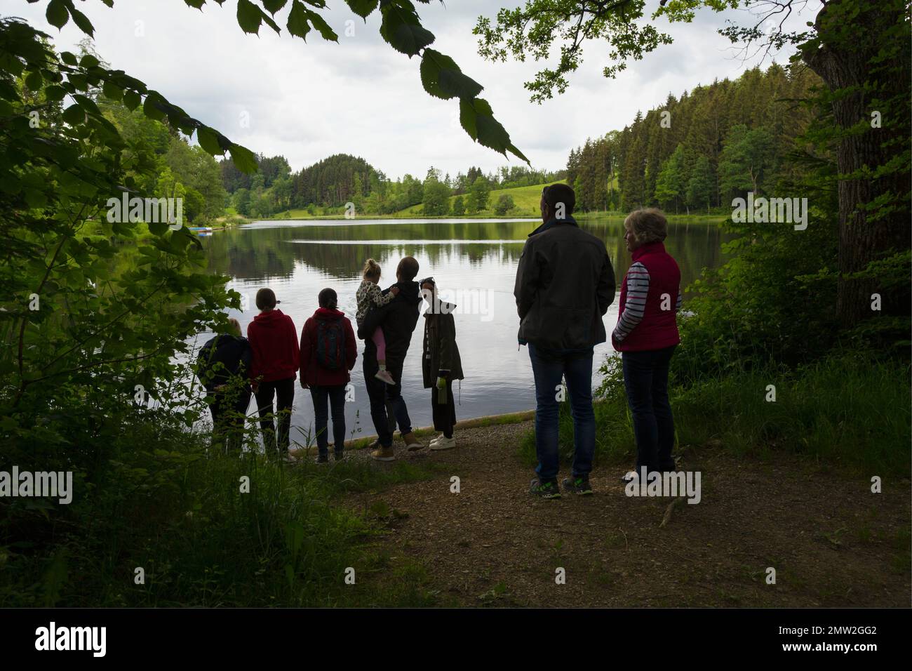 Familienbeobachtung am See Stockfoto