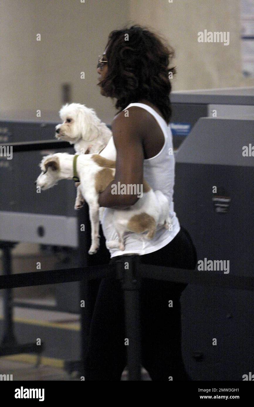 Frisch nach dem Wimbledon-Sieg kommen die Schwestern Serena und Venus Williams am Los Angeles International Airport an, um einen Flug aus der Stadt zu erwischen. Die Schwestern hatten eine große Menge Gepäck zwischen sich und brachten sogar ihre kostbaren Welpen für die Reise mit. Während des diesjährigen Turniers in Wimbledon erhielt Serena den Titel von der älteren Schwester und dem zweimaligen Verteidiger Venus. Später am Tag gewannen die Schwestern den vierten Doppel-Titel für Frauen. Los Angeles, Kalifornien. 7/17/09. Stockfoto