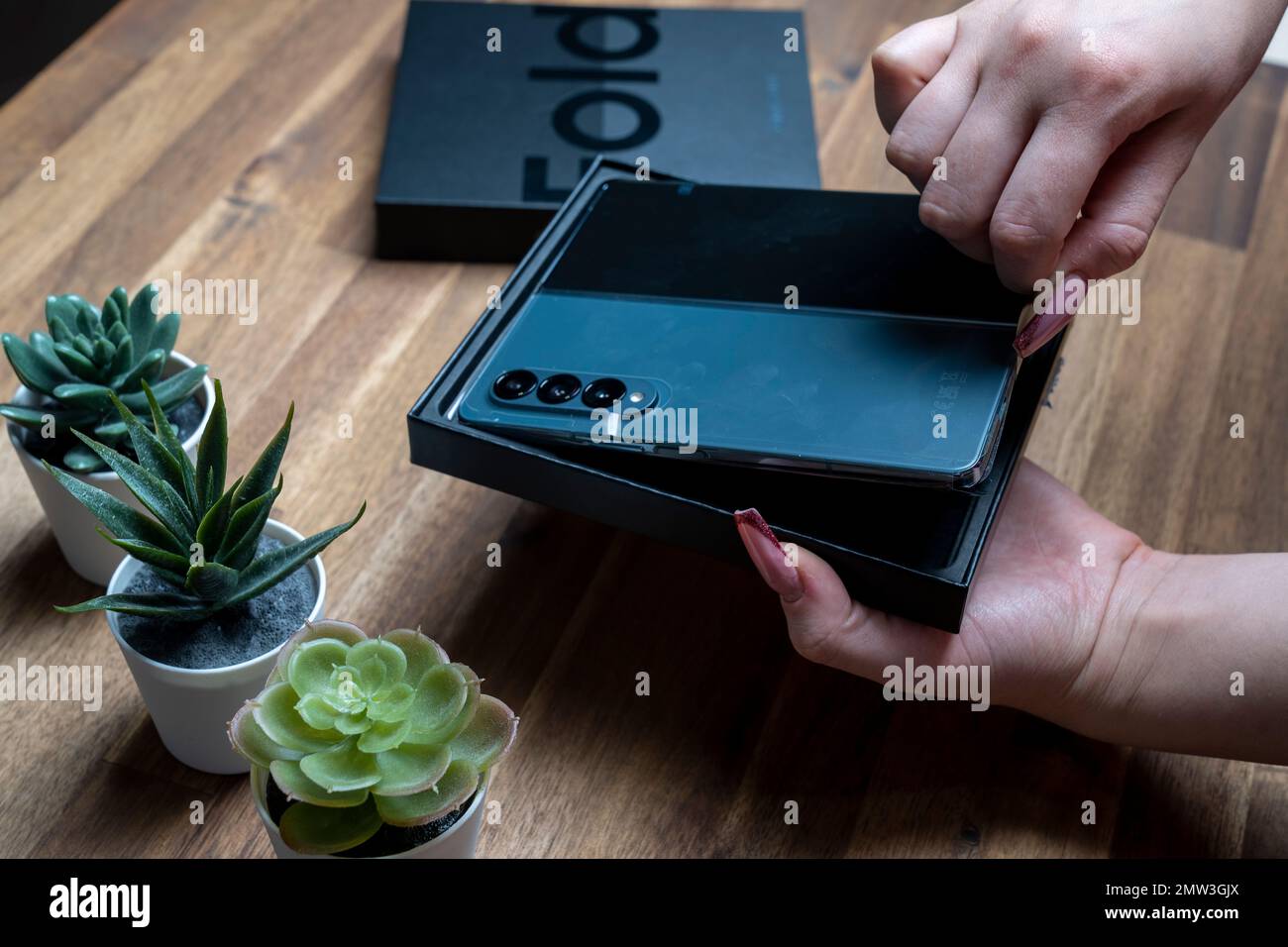 Samsung Galaxy Z Fold 4 in grau-grüner Farbe. Eine Frau packt das neue Handy aus. Stockfoto