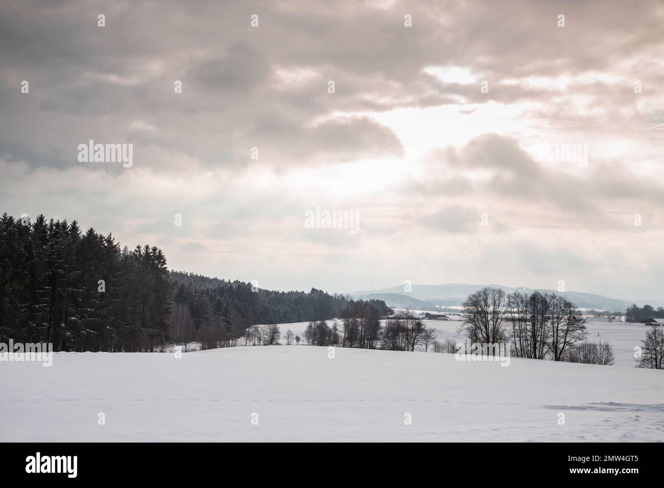 Winterlandschaft, Waldviertel/Österreich Stockfoto