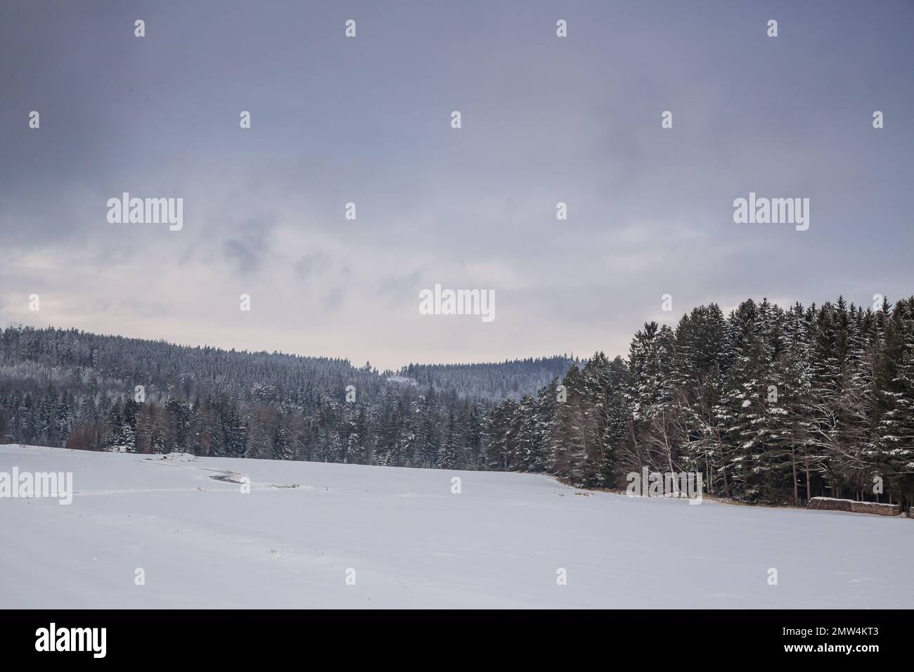 Winterlandschaft, Waldviertel/Österreich Stockfoto