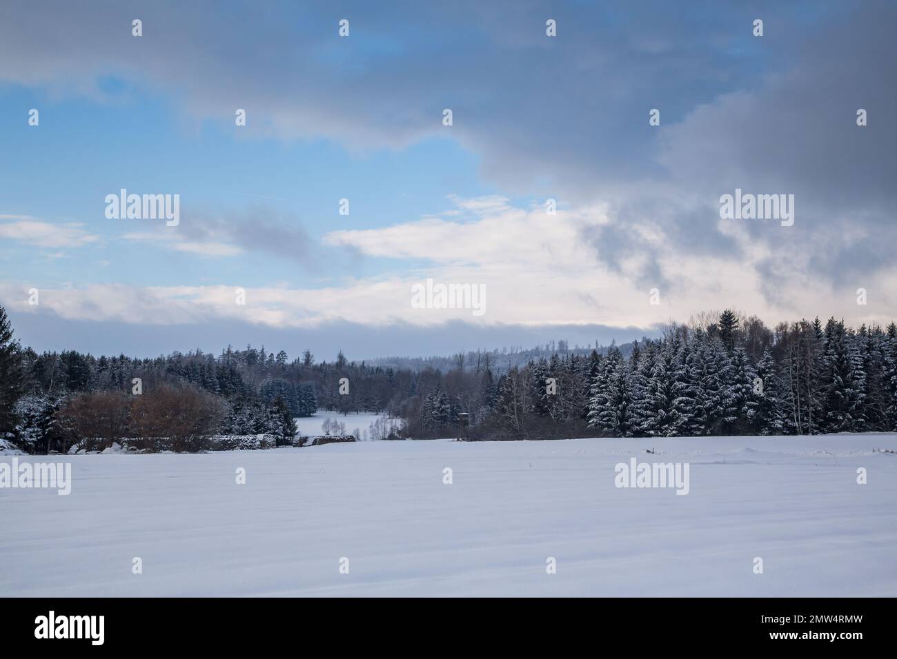 Winterlandschaft, Waldviertel/Österreich Stockfoto