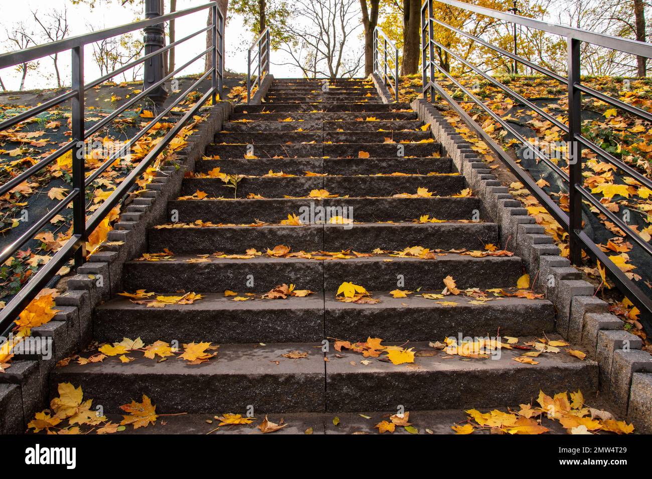 Treppen in einem Herbstpark mit gelben Blättern an klaren Herbsttagen. Stockfoto