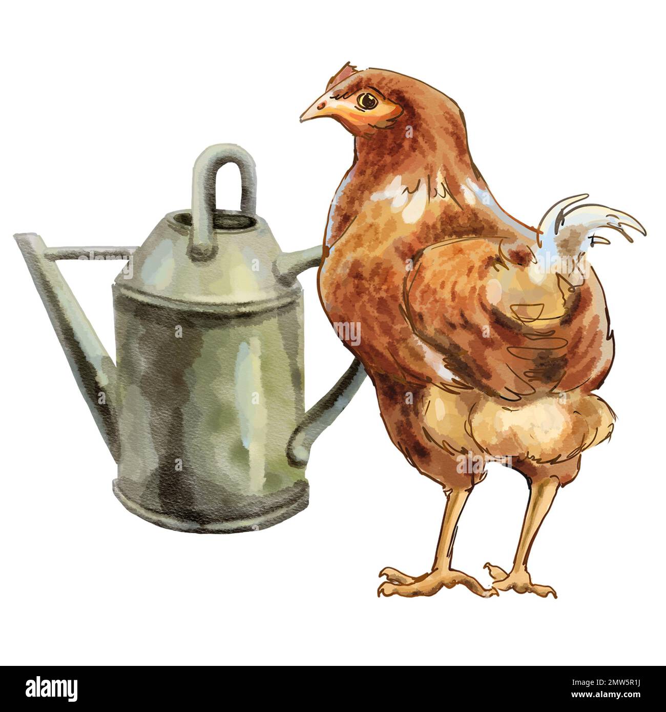 Farbenanschauung Farm mit Hühnern. Qualitativ hochwertige Darstellung Stockfoto
