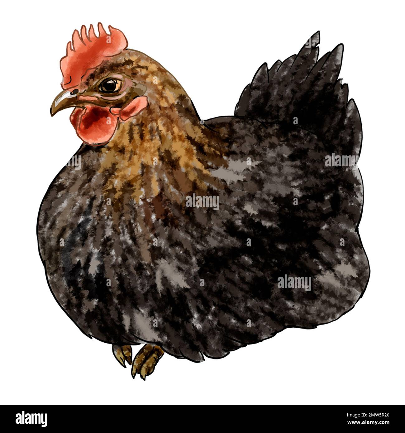 Farbenanschauung Farm mit Hühnern. Qualitativ hochwertige Darstellung Stockfoto