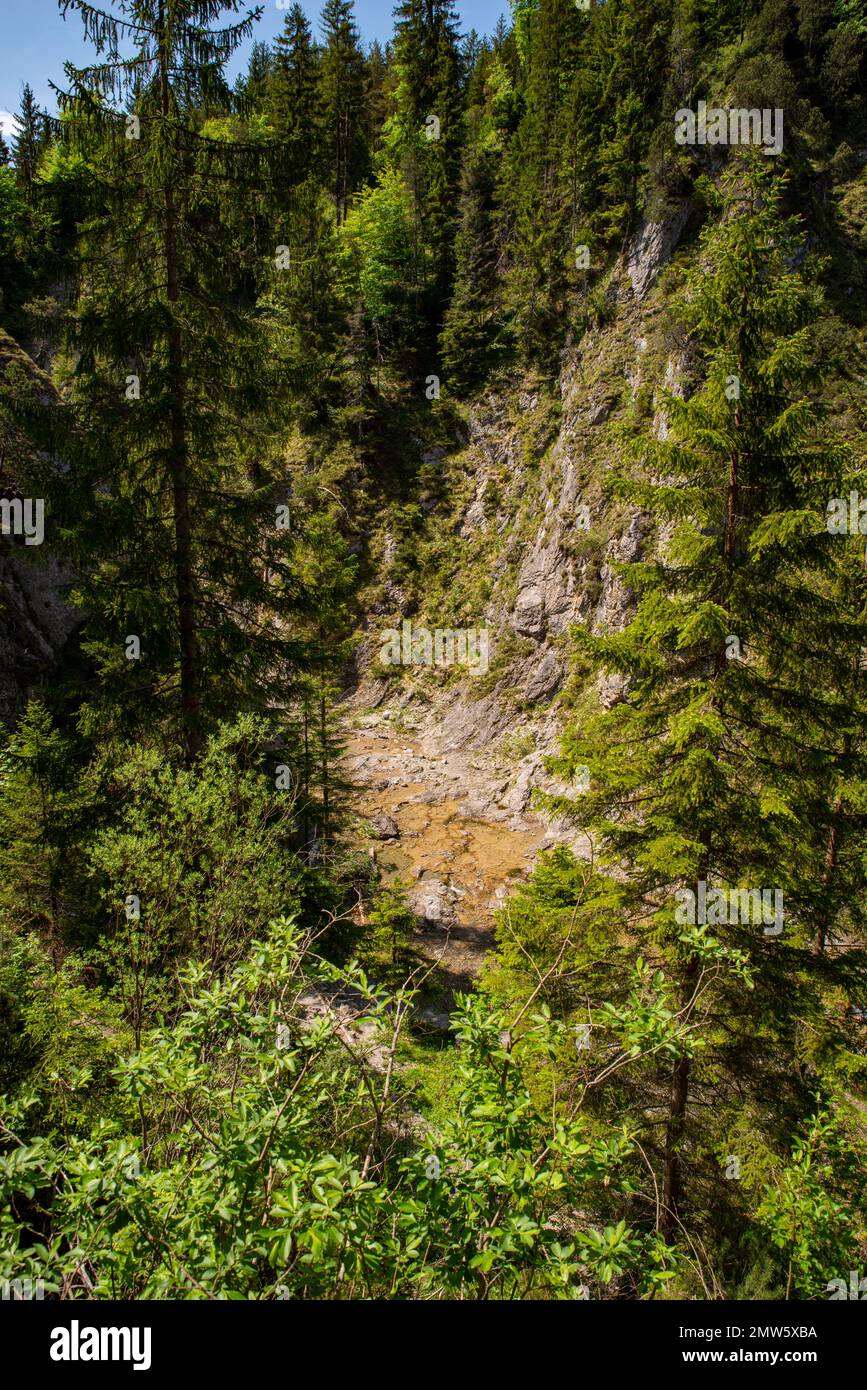 Sehen Sie die Schlucht des Erzbachs in der Nähe der Stuiben-Wasserfälle an einem wunderschönen Sommertag, Reutte, Tirol, Österreich Stockfoto