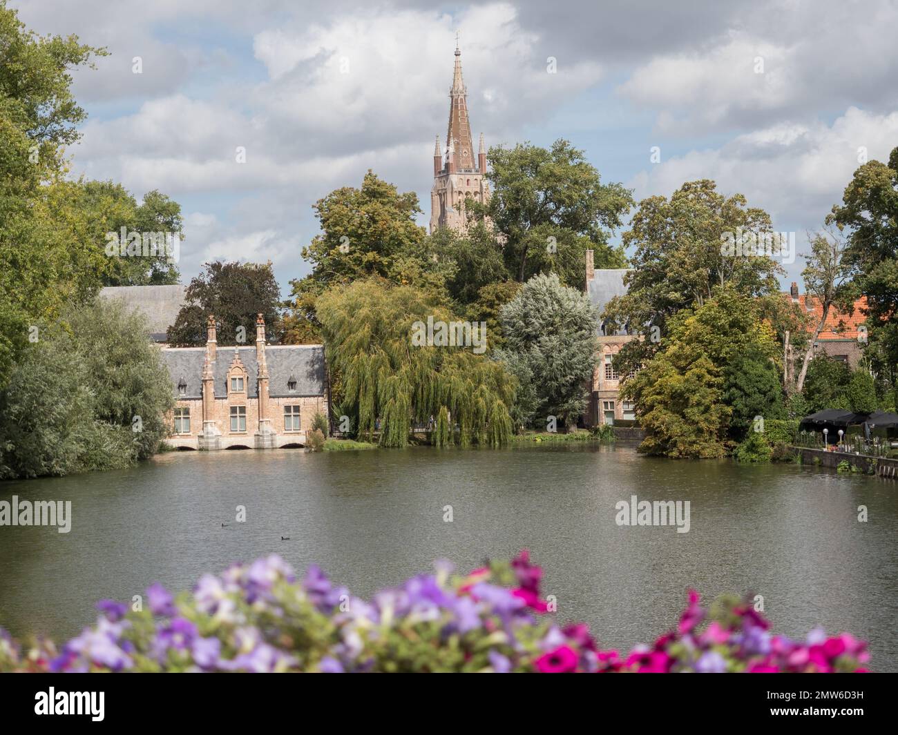 Die Kirche unserer Lady Brügge mit ruhigem See Wasser und rosa Malvenblumen im Vordergrund Stockfoto