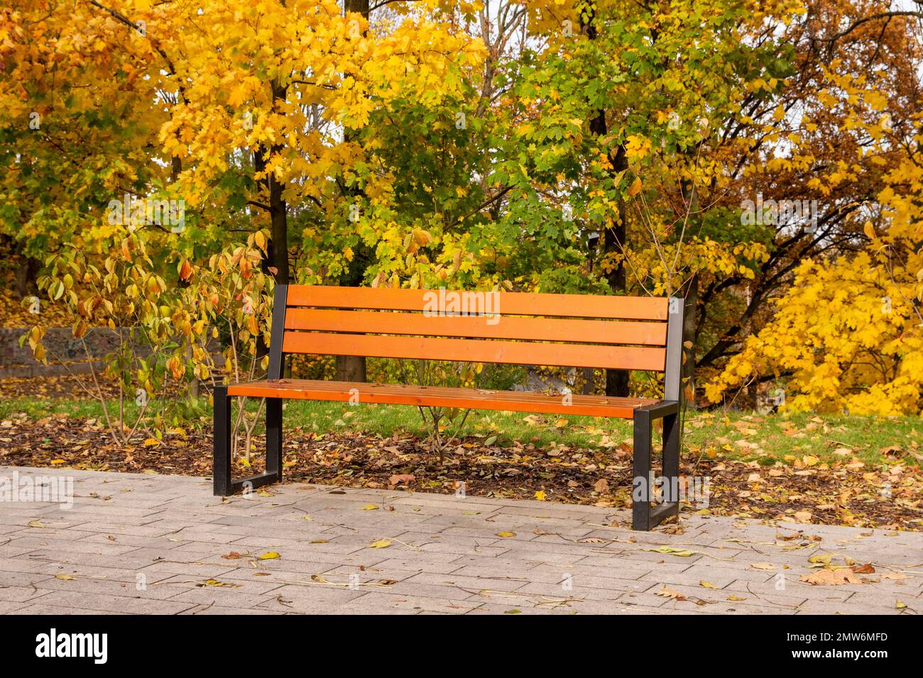 Herbstbank in einem Park voller herabfallender gelber Blätter. Stockfoto