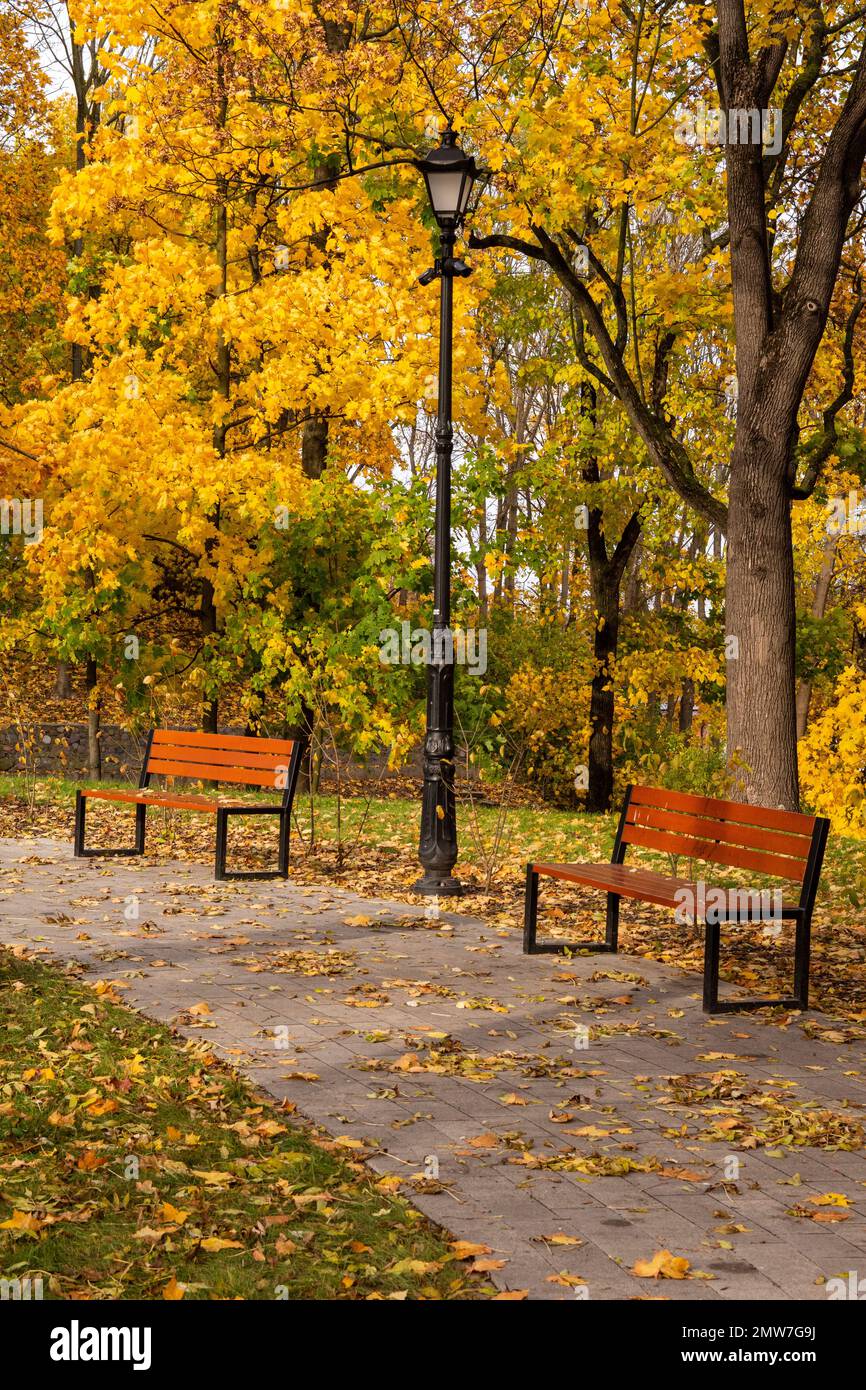 Herbstbank in einem Park voller herabfallender gelber Blätter. Stockfoto