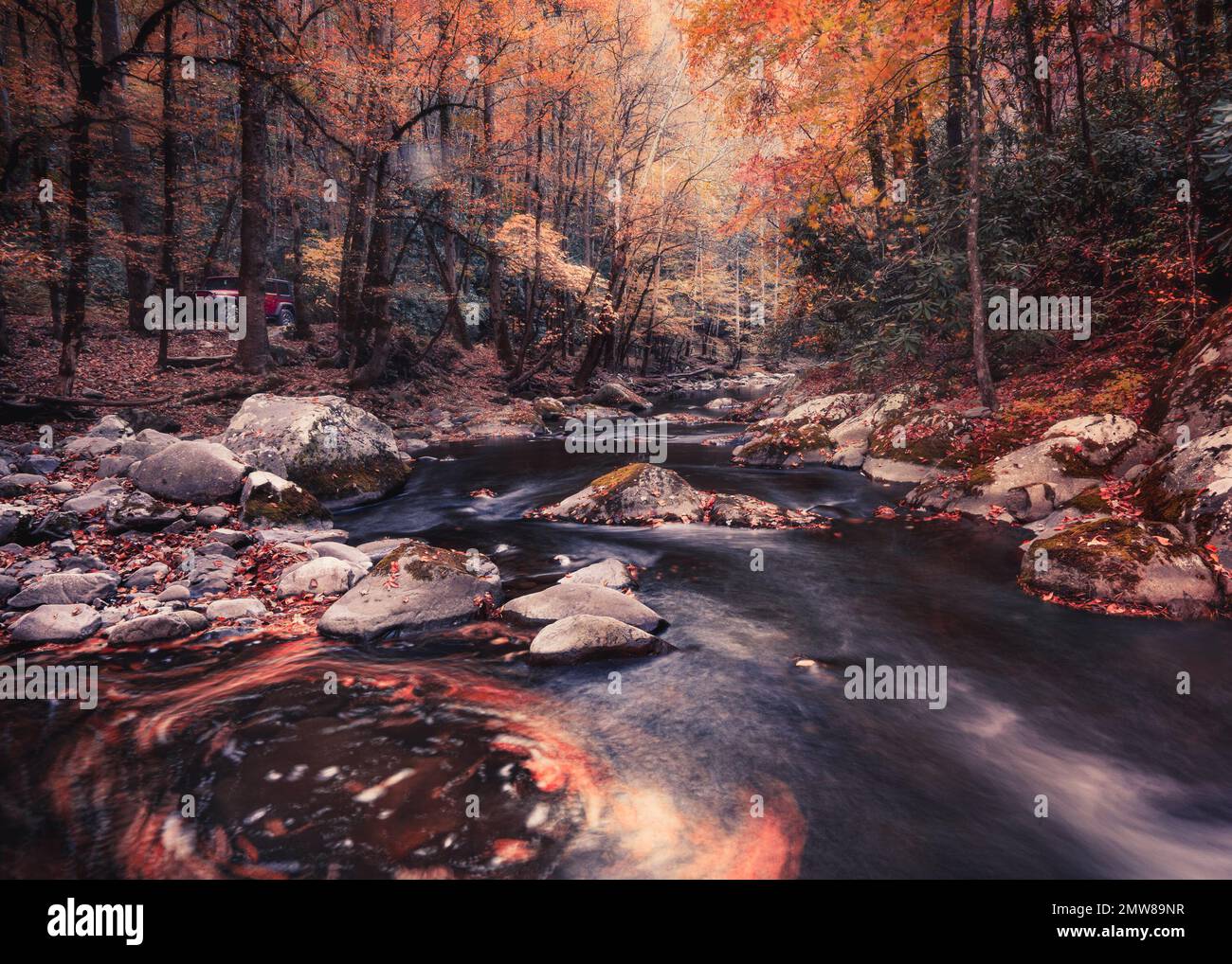 Malerischer Herbstblick vom Smoky Mountain National Park mit bunten Herbstlaub und Bach Stockfoto
