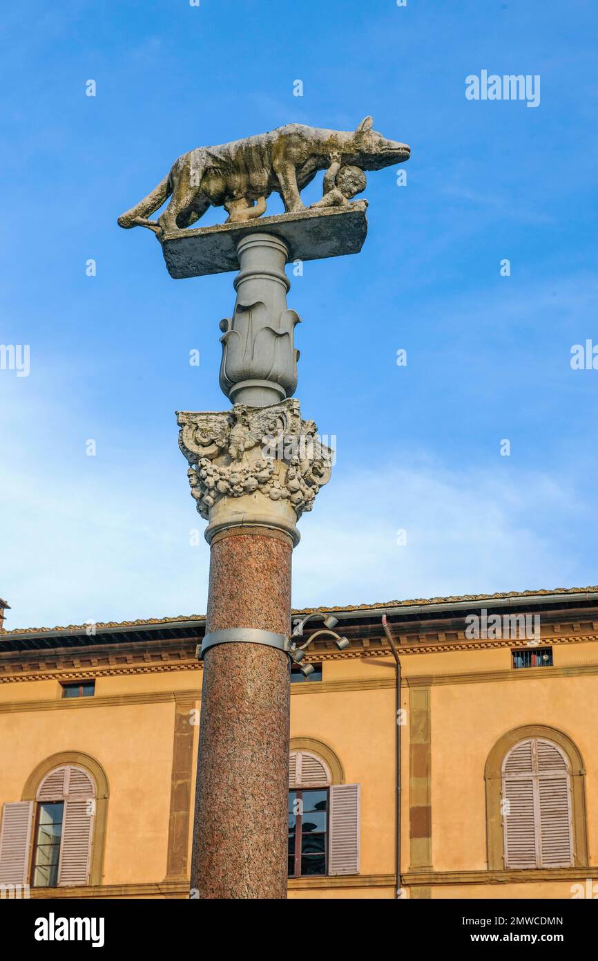 Kolumne mit korinthischer Säulenhauptstadt auf dem Vorplatz der Kathedrale von Siena mit kapitolinischen, wölfsaugenden Brüdern Romus und Remulus, Siena, Toskana Stockfoto