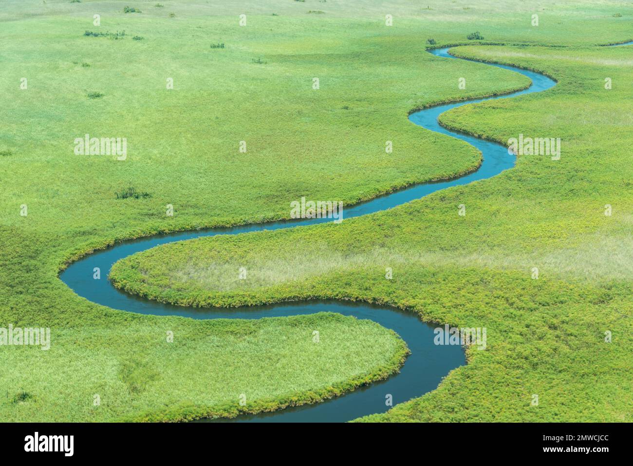 Meandering River, Okavango Delta, Botswana Stockfoto