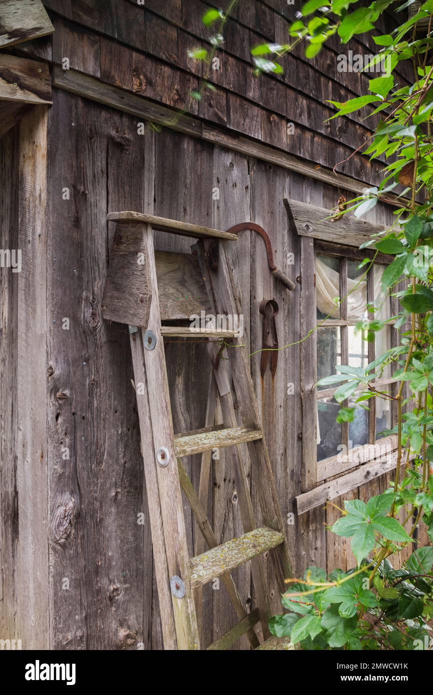 Alte Treppenleiter lehnt sich im Sommer gegen die Außenwand einer alten rustikalen Holzplanke in Quebec, Kanada Stockfoto