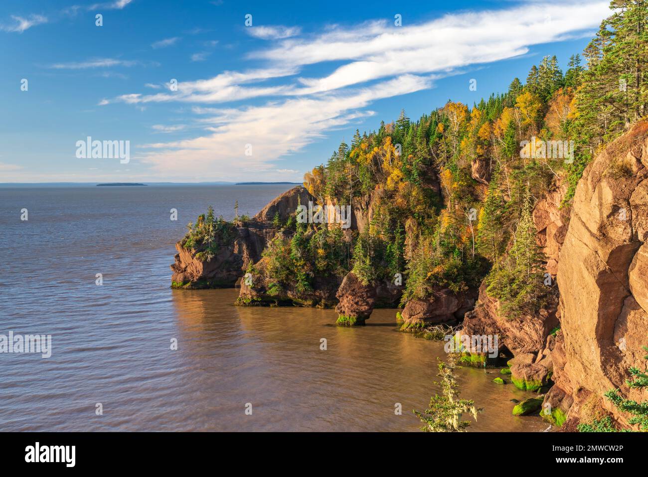 Die Hopewell Rocks im Hopewell Rocks Provincial Park, New Brunswick, Cnaada, sind von Meeresstürmen und Klippen umgeben. Stockfoto