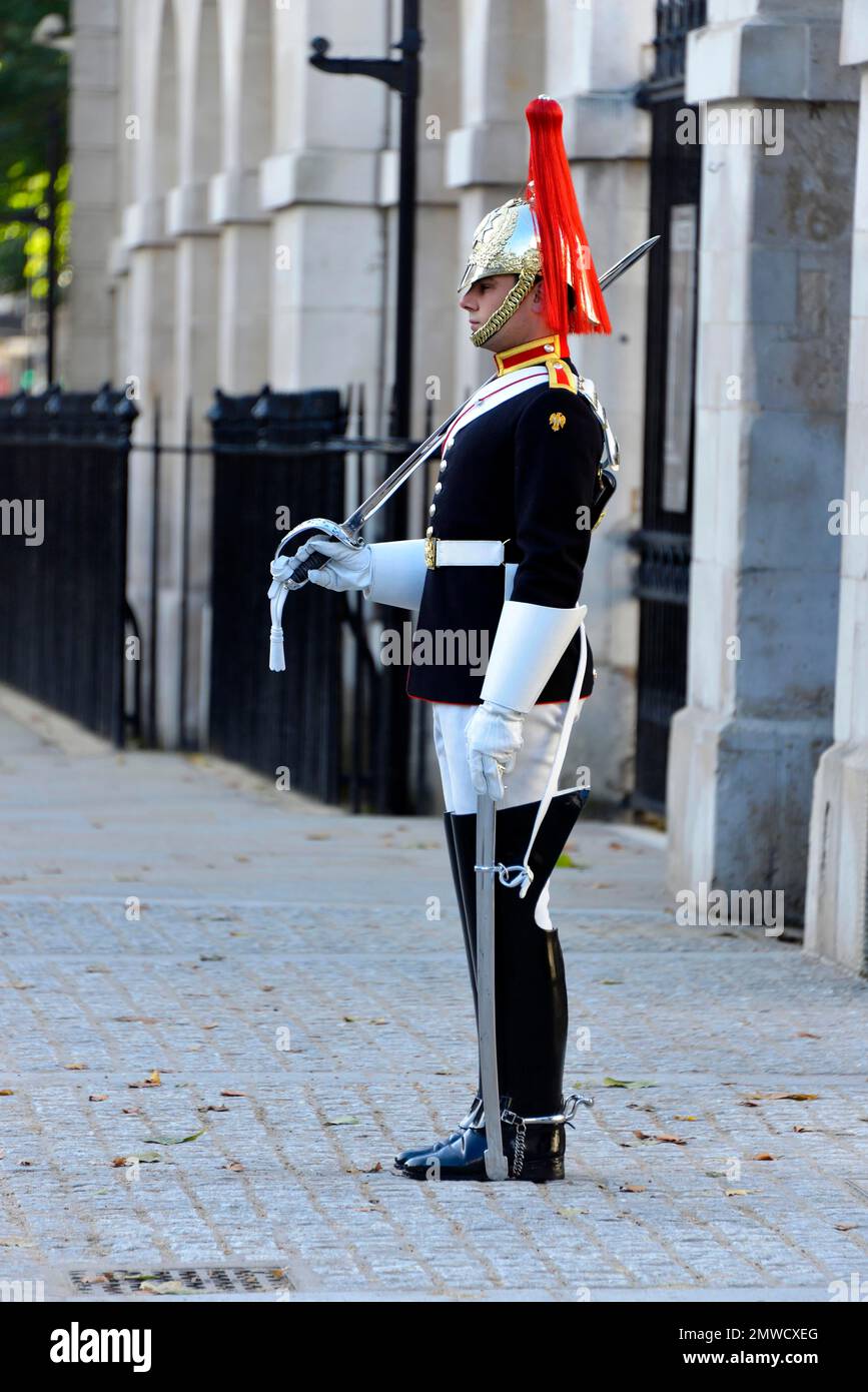 Ein Rettungsschwimmer der Haushaltskavallerie, British Guards Cavalry, London, London, Vereinigtes Königreich Stockfoto