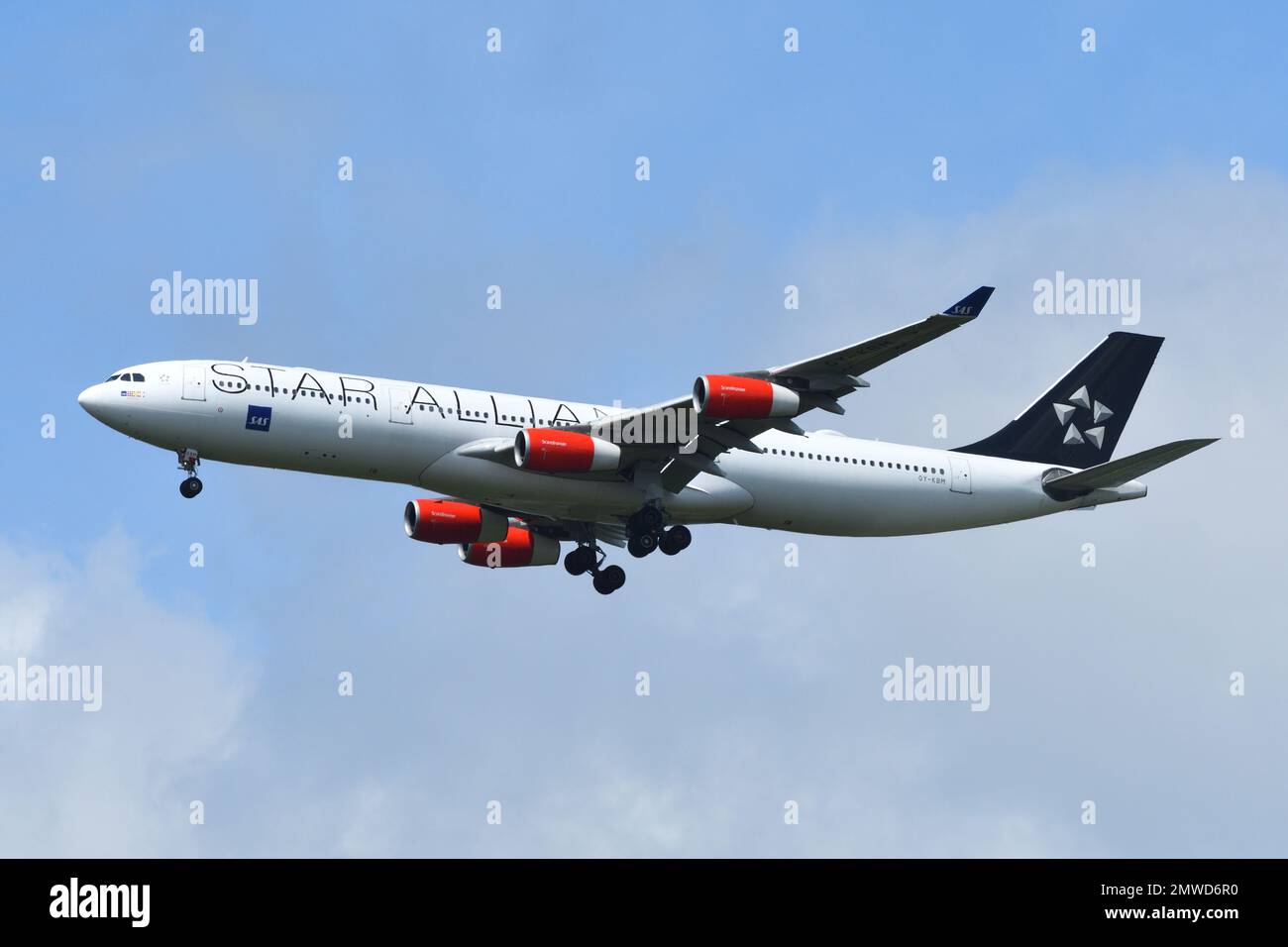 Präfektur Chiba, Japan - 18. Mai 2019: Scandinavian Airlines System (SAS) Star Alliance Livery Airbus A340-300 (OY-KBM) Passagierflugzeug. Stockfoto