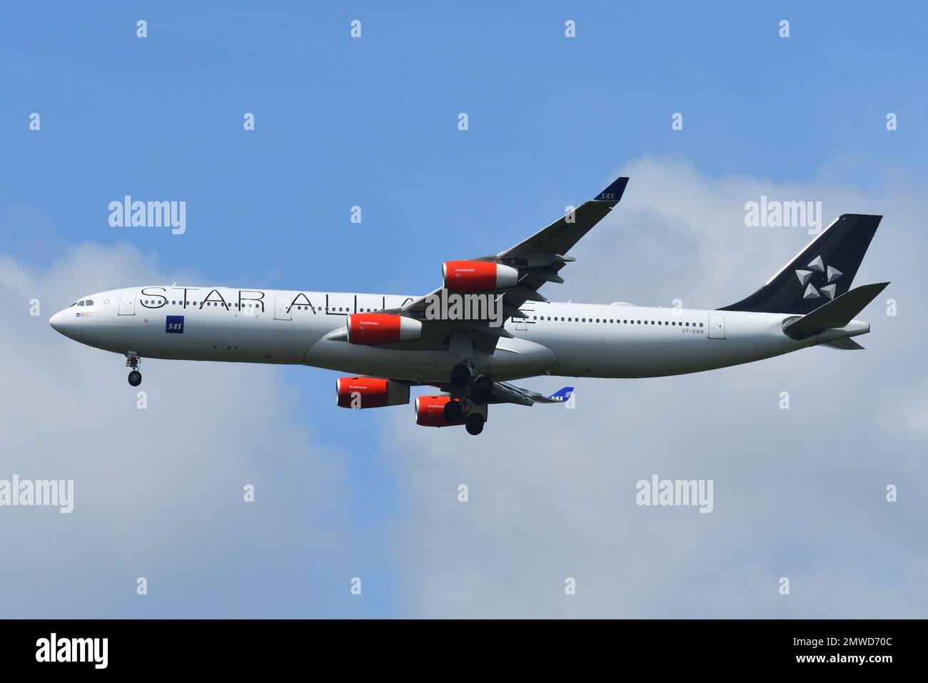 Präfektur Chiba, Japan - 18. Mai 2019: Scandinavian Airlines System (SAS) Star Alliance Livery Airbus A340-300 (OY-KBM) Passagierflugzeug. Stockfoto