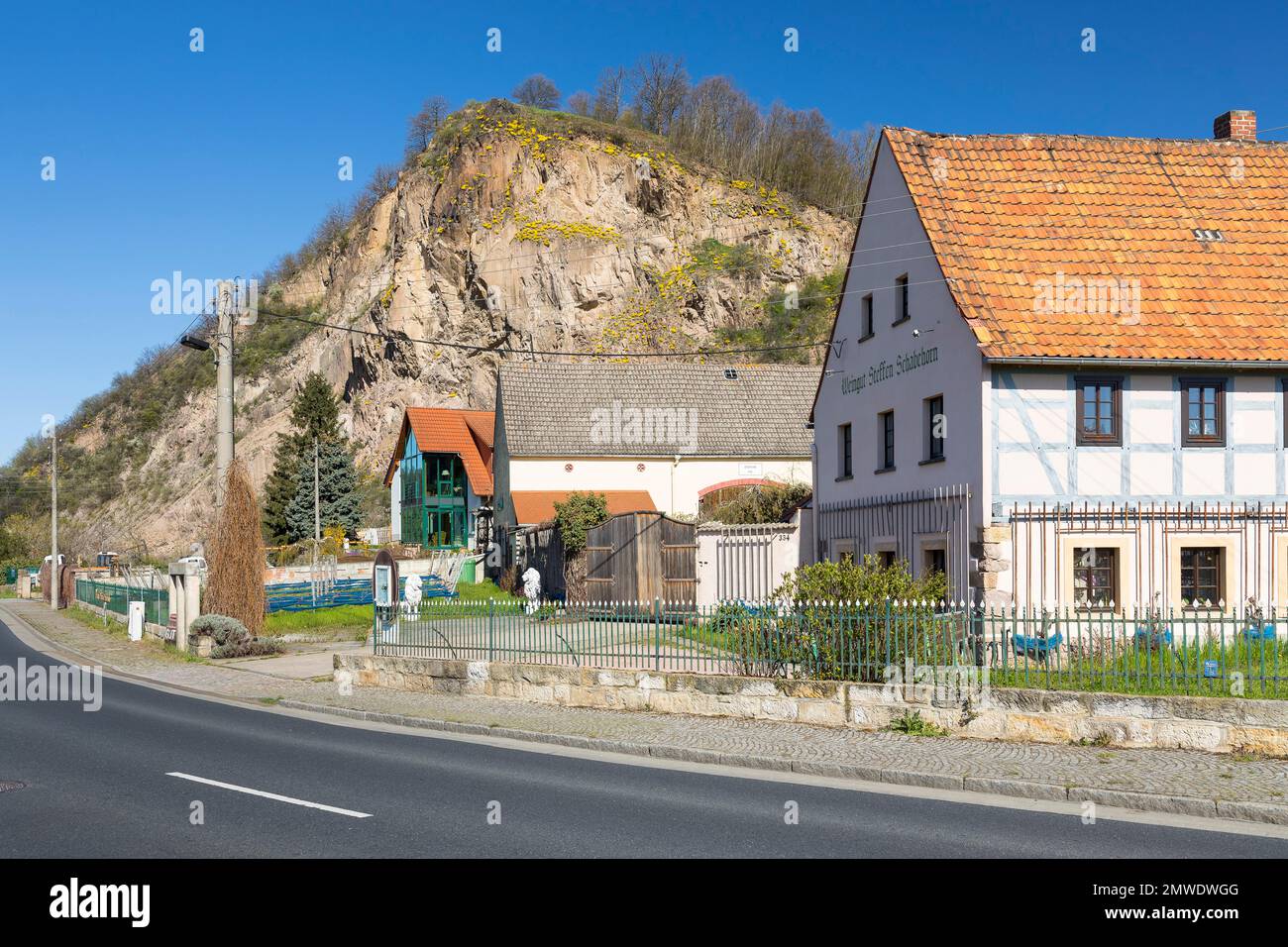 Historischer Weinkeller zur Alten Bosel und Schabeborn Weingut, im Hintergrund die Boselspitze mit blühendem Bergmadwort (Alyssum montanum) Stockfoto