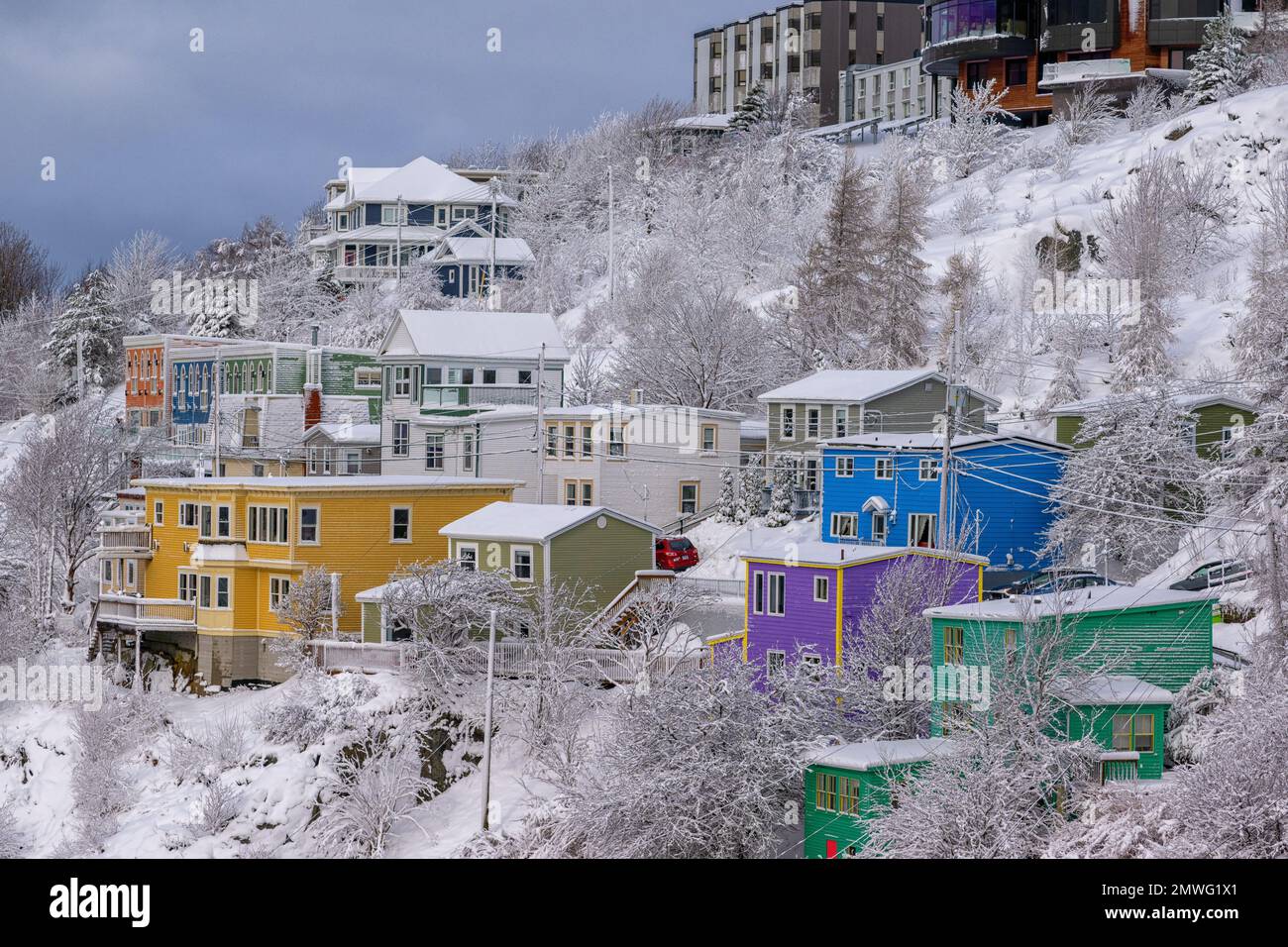 Historisches St. John's, Neufundland, Kanada, mit bunten Holzhäusern an einem Hügel, Bäumen bedeckt mit Eis und Schnee auf dem Boden. Stockfoto