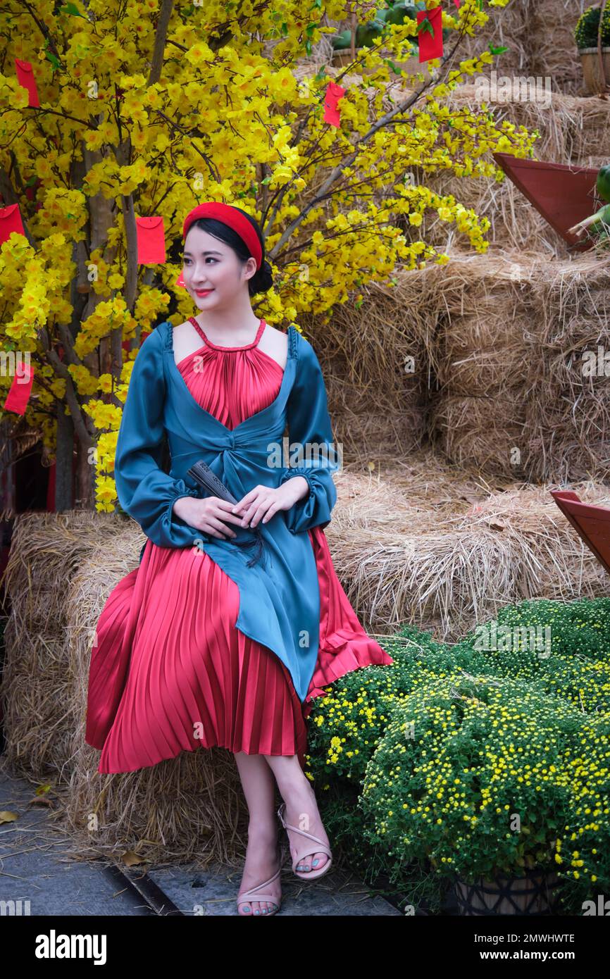 Ho Chi Minh City, Vietnam: Schönes vietnamesisches Mädchen in traditioneller Kleidung, um das Mondneujahr zu feiern Stockfoto