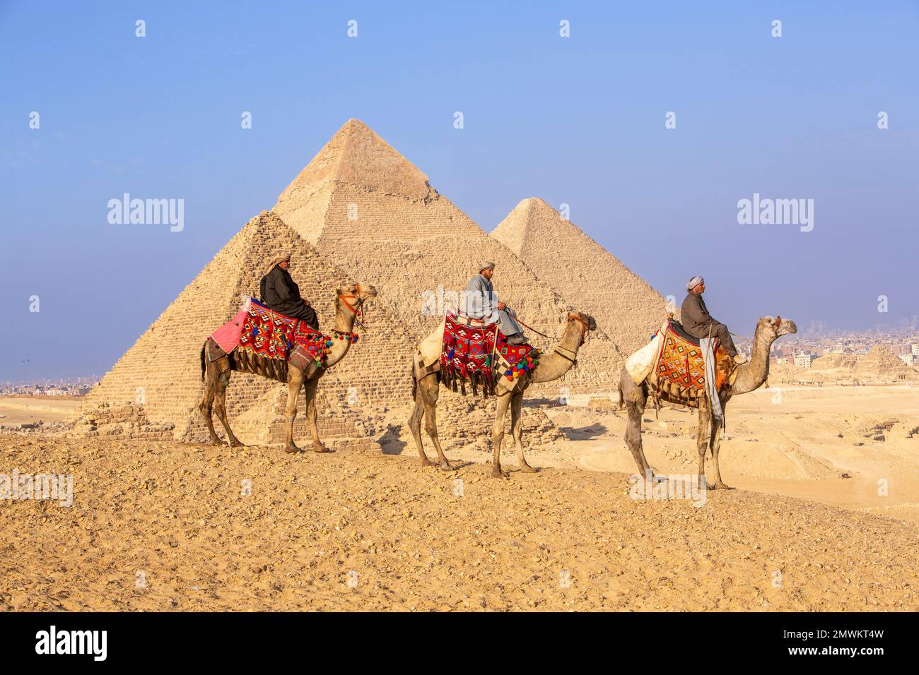 Pyramiden von Gizeh mit Kamelen bei Sonnenuntergang, Kairo, Ägypten Stockfoto