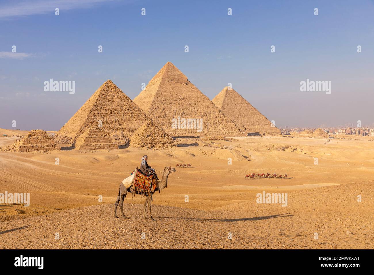 Pyramiden von Gizeh mit Kamel bei Sonnenuntergang, Kairo, Ägypten Stockfoto
