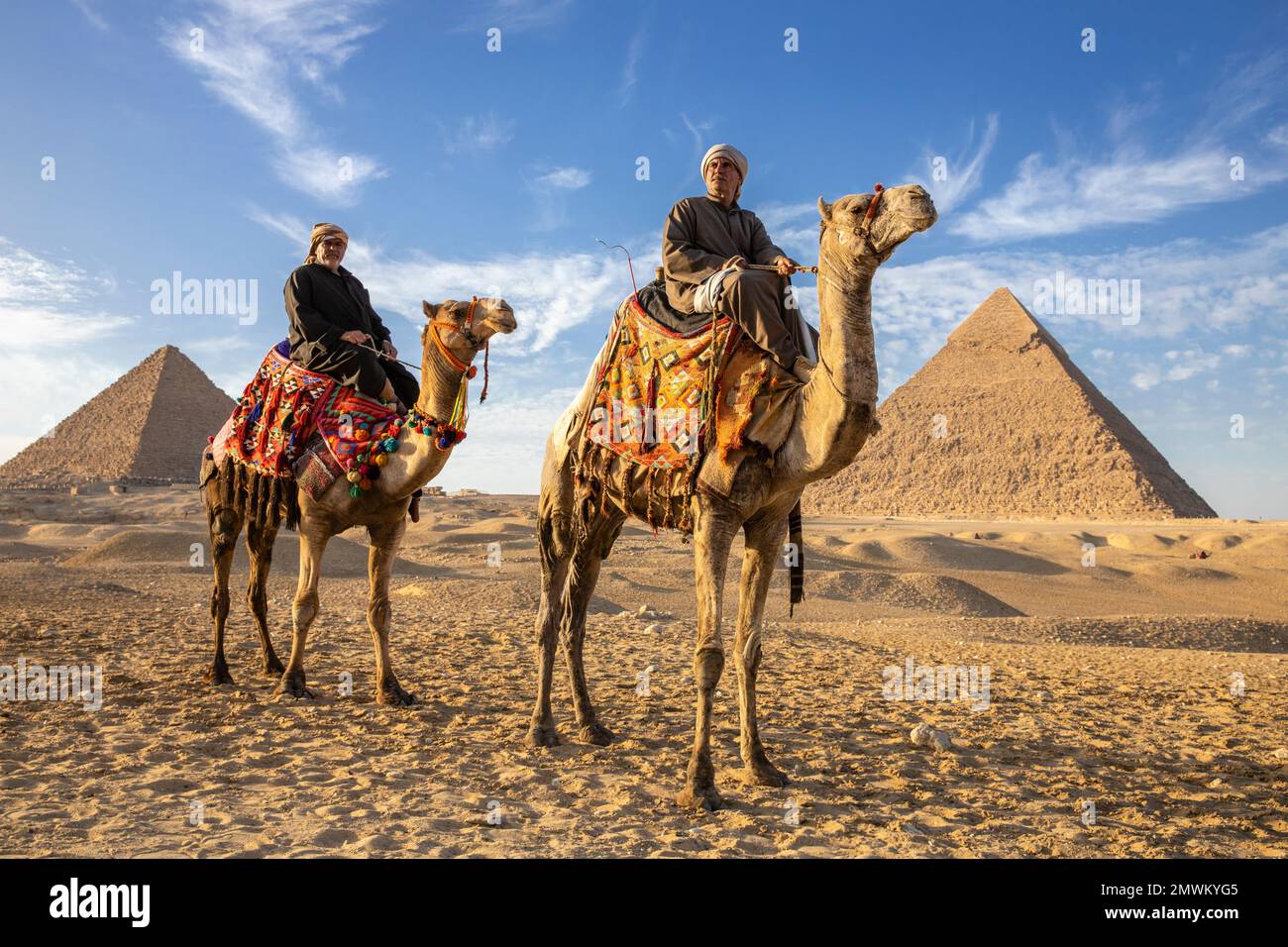 Pyramiden von Gizeh mit Kamelen bei Sonnenuntergang, Kairo, Ägypten Stockfoto