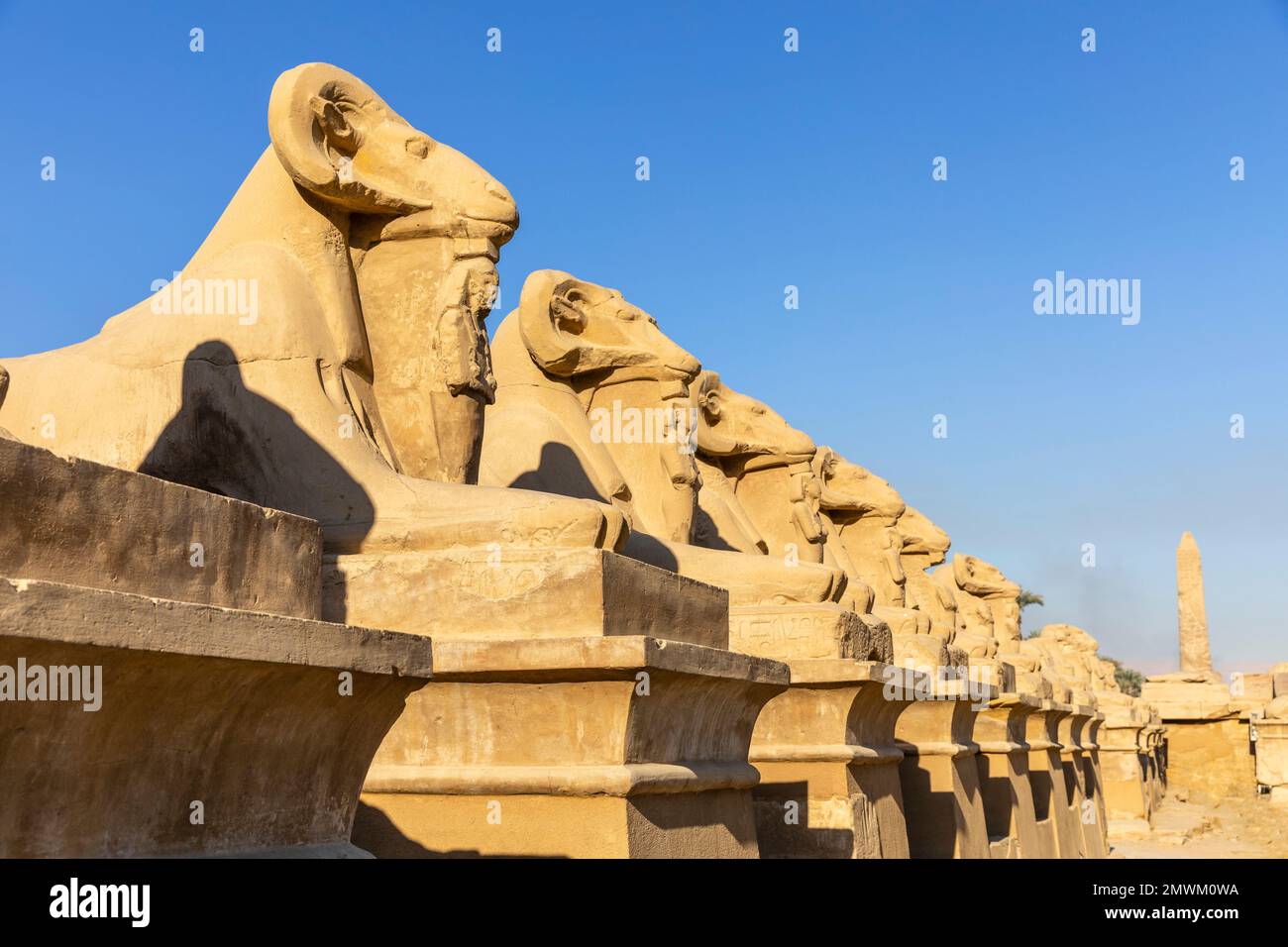 Avenue of Rams und Avenue of Sphinxes im Tempel von Karnak, Luxor, Ägypten Stockfoto