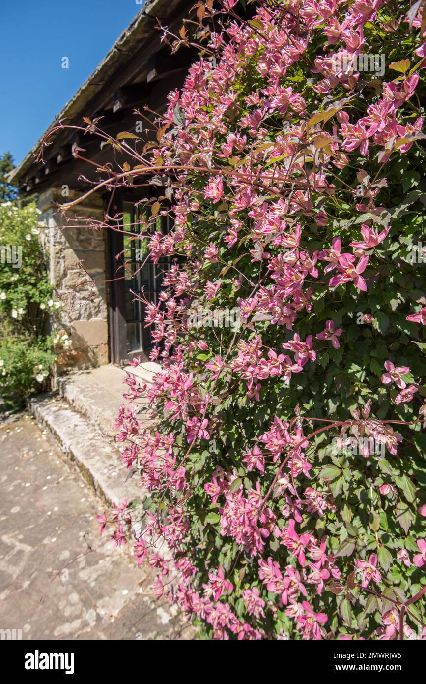 Parcevall Hall -- auch bekannt als Parceval Hall -- und seine Gärten befinden sich in Skyreholme in der Nähe von Appletreewick Village, Wharfedale, North Yorkshire Stockfoto