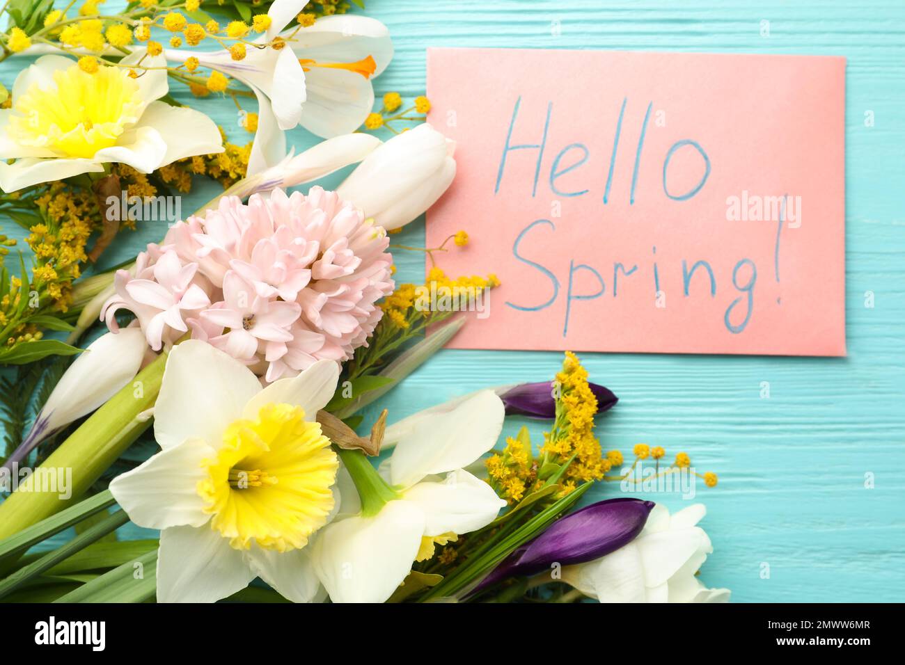 Rosafarbene Karte mit den Worten „HALLO FRÜHLING“ und frischen Blumen auf hellblauem Holztisch, flach liegend Stockfoto
