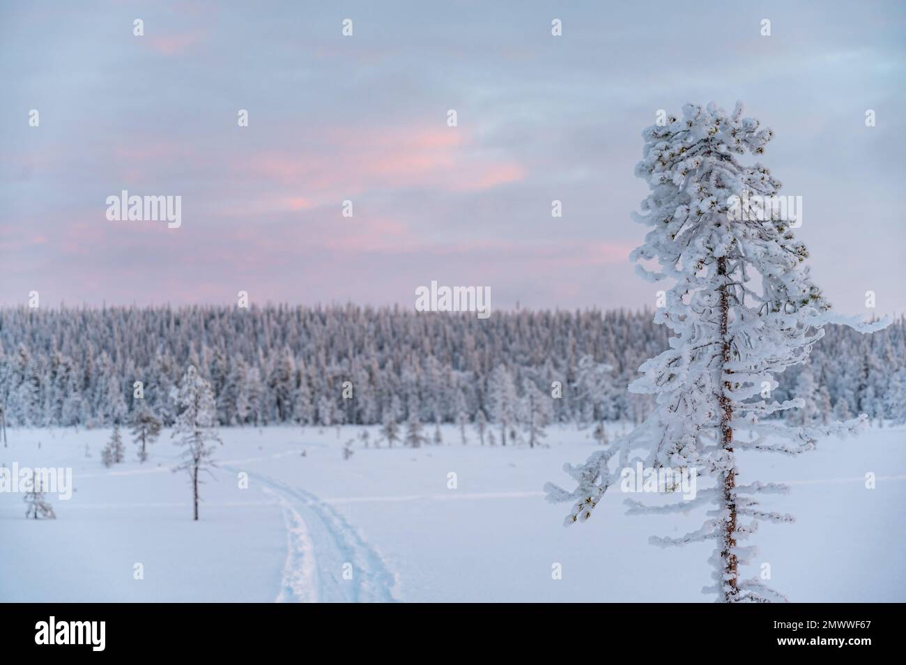 Ein kalter Wintertag im Polarkreis in Nordfinnland Stockfoto