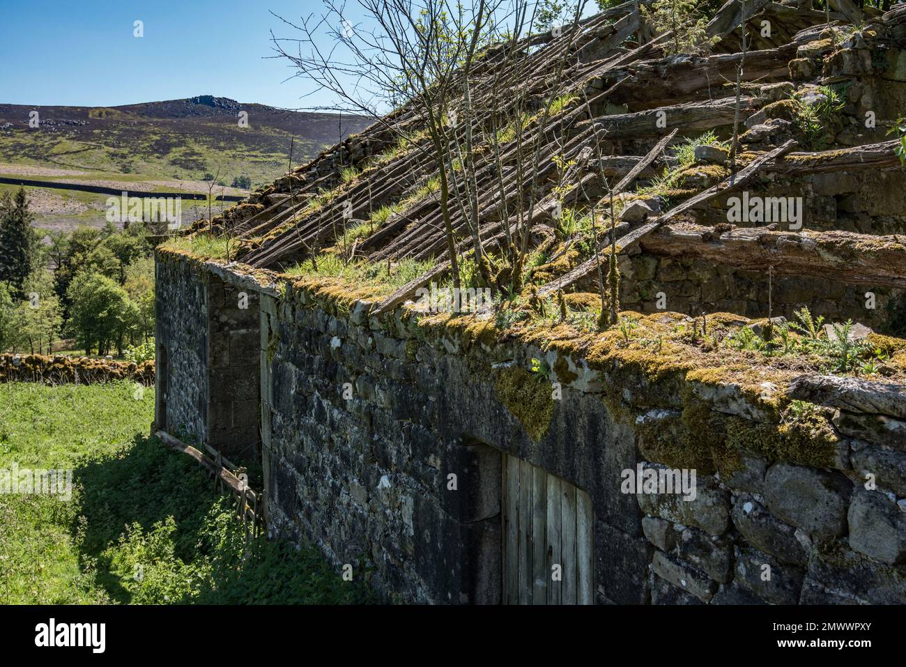 Eine Scheune in der Nähe von Parcevall Hall hat kein Dach mehr. Die Halle und ihre Gärten befinden sich in Skyreholme in der Nähe von Appletreewick Village, North Yorks. Stockfoto