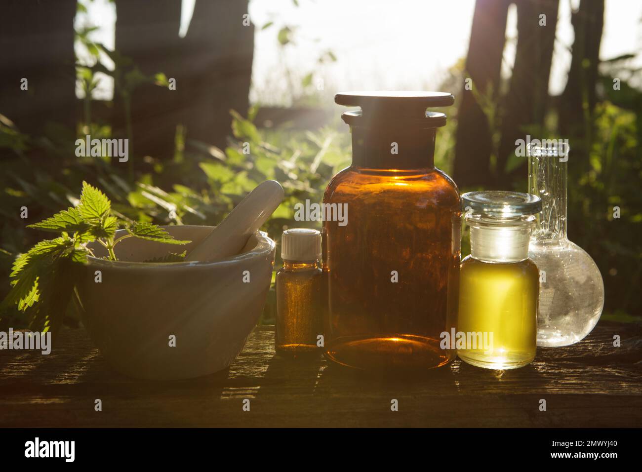 Zusammensetzung der natürlichen Alternativmedizin. Das Konzept reiner organischer Inhaltsstoffe in der Kosmetologie. Stockfoto