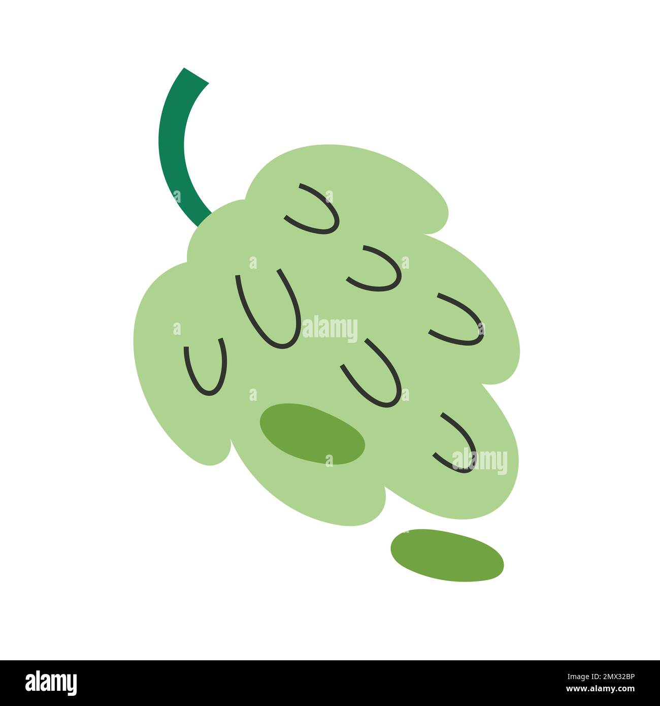 Darstellung von grünen Trauben und Früchten isoliert auf weißem Hintergrund Stock Vektor